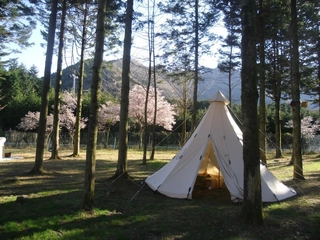 耐水圧はたったの300mm台！？買う前に知りたいコットンテントの雨事情