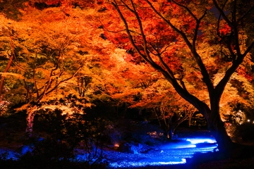 オススメの関東紅葉デートスポットTOP10!大切なあの人と出かけよう♪