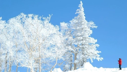 キロロリゾートが冬旅行におすすめ!極上の雪上体験を味わおう