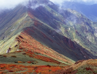 初心者だって日本百名山に挑戦できる！オススメの山Vol.8「鳳凰三山」