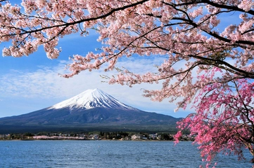 富士山旅行☆河口湖周辺アクティビティスポットをご紹介!