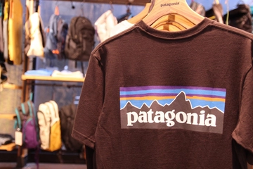 パタゴニアのTシャツおすすめ5選！メンズからレディースまで