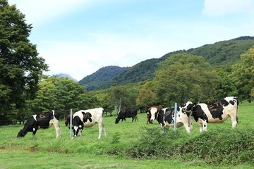 まきば好きが教える! おすすめの牧場とキャンプ場【群馬県・栃木県・静岡県】