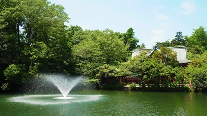 井の頭公園の魅力と楽しい過ごし方!桜とボートだけじゃない!【完全ガイド】