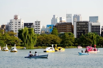 東京都内エリア別!手漕ぎボートが楽しめる公園おすすめ10選
