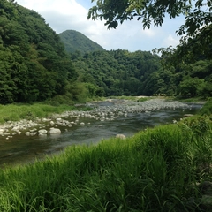 【体験レポ】我が家のお気に入り青野原オートキャンプ場で川遊びキャンプ！