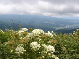 のんびりとハイキングしたい♪長野県の車山を満喫しよう