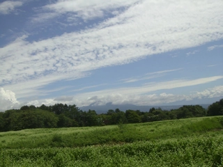 のんびりとハイキングしたい♪北八ヶ岳の北横岳を満喫しよう