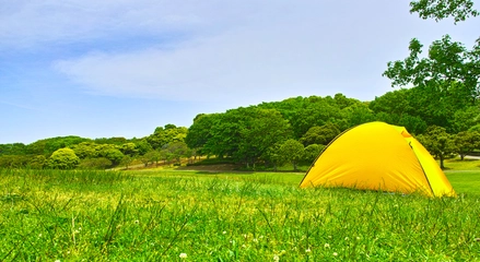 【地域別】座間周辺のキャンプ場まとめ 都心の近くで豊かな自然を満喫しよう