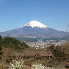 【我が家のおすすめキャンプ場】富士山がどーんと見える!乙女森林公園第2キャンプ場