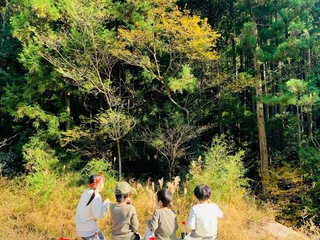 ママと子どもだけでキャンプ!初めての「母子デイキャンプ」でわかったメリットと注意点とは?