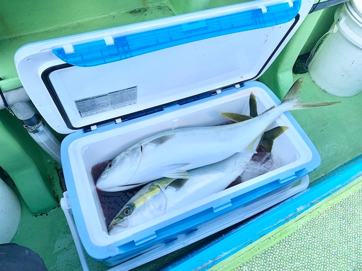 大型クーラーボックスで青物もスッポリ メーカー別おすすめ11選 キャンプ アウトドア情報メディアhinata