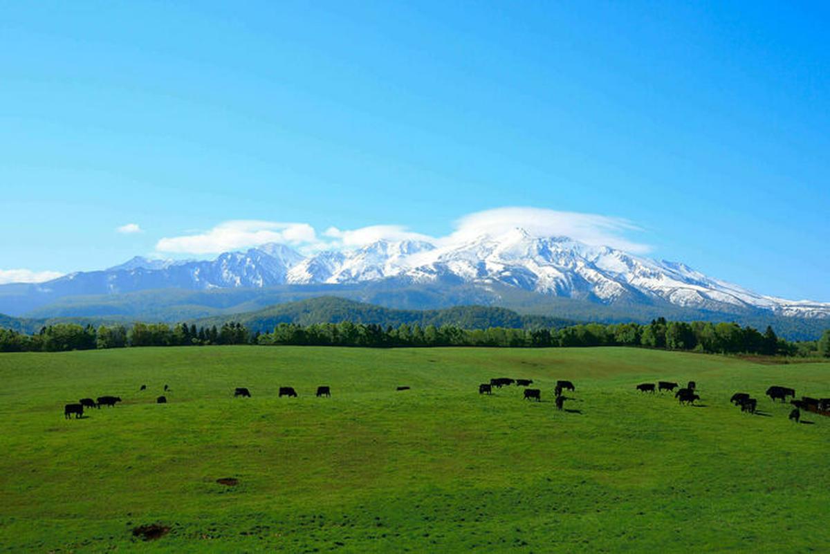 上川町の風景