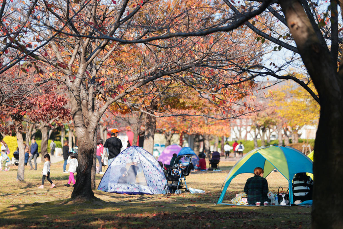 公園向けポップアップテントおすすめ7選 使用する場合は場所選びと大きさに注意 キャンプ アウトドア情報メディアhinata