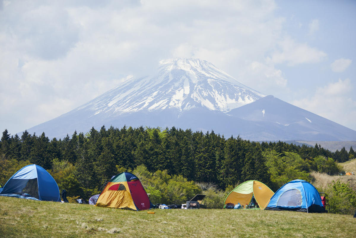 FUJI&SUNの写真