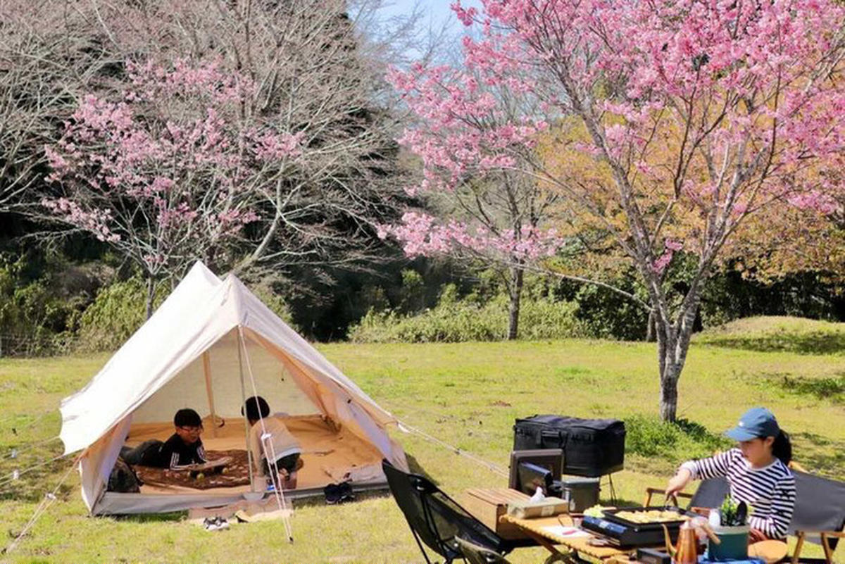 tamagoanryuさんのキャンプサイト