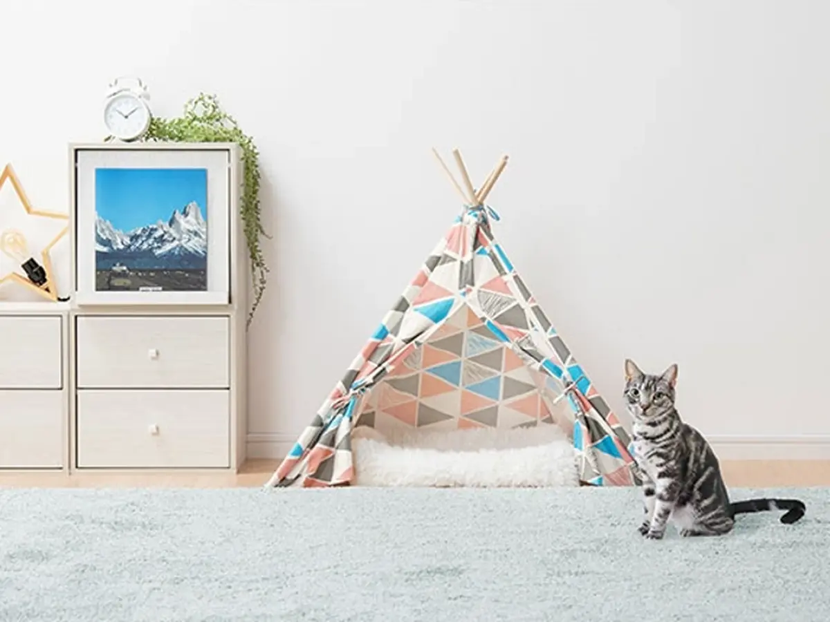 ペット用テント Xwpt 雑貨 5231 026 ギフト包装不可 インテリア 送料無料