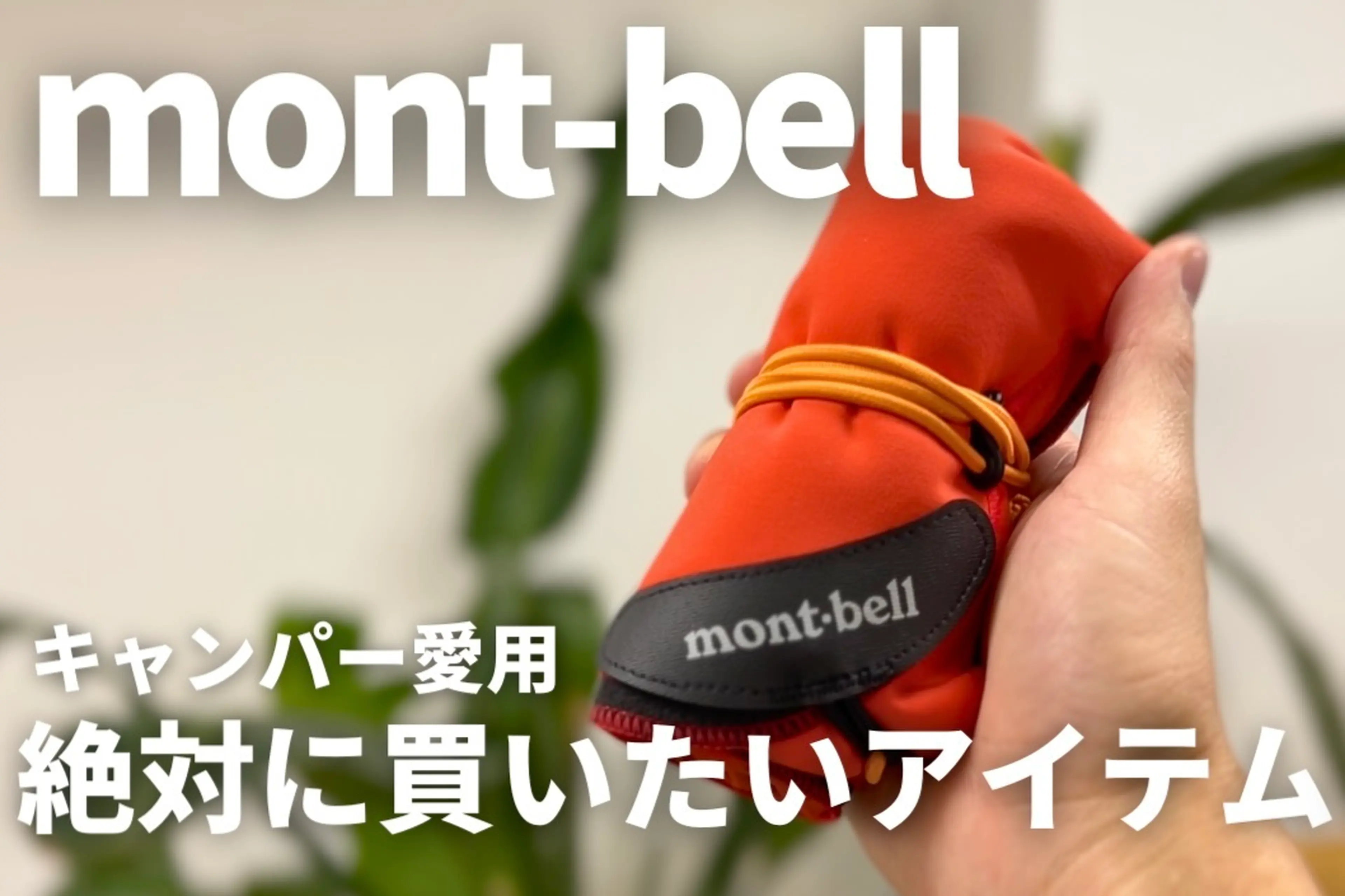 編集部のオススメ画像