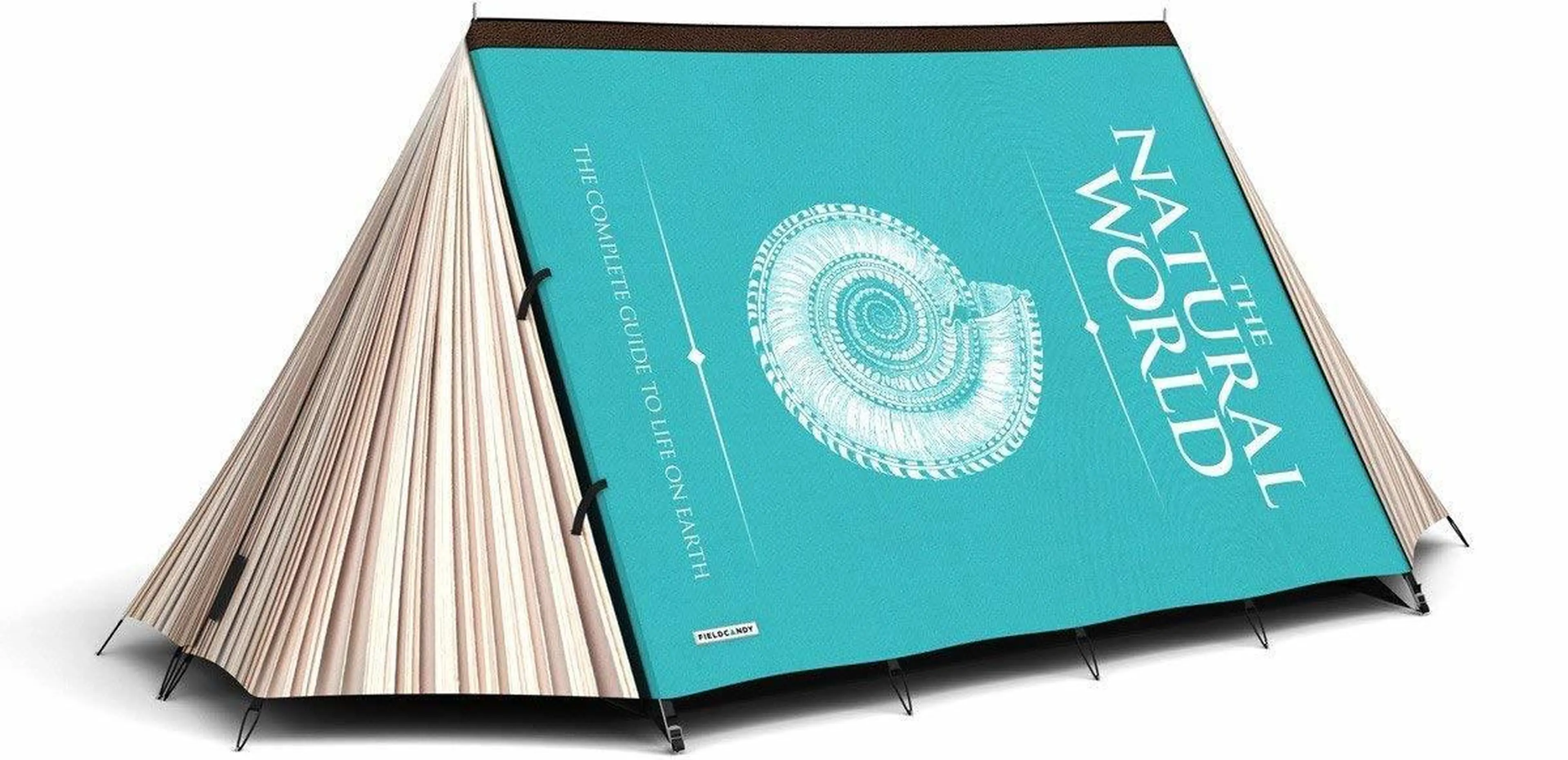 【絶版品レア】FIELDCANDY スイカ柄テント What a melon!? なんだこの巨大スイカ……と思ったらテントでした - ねとらぼ