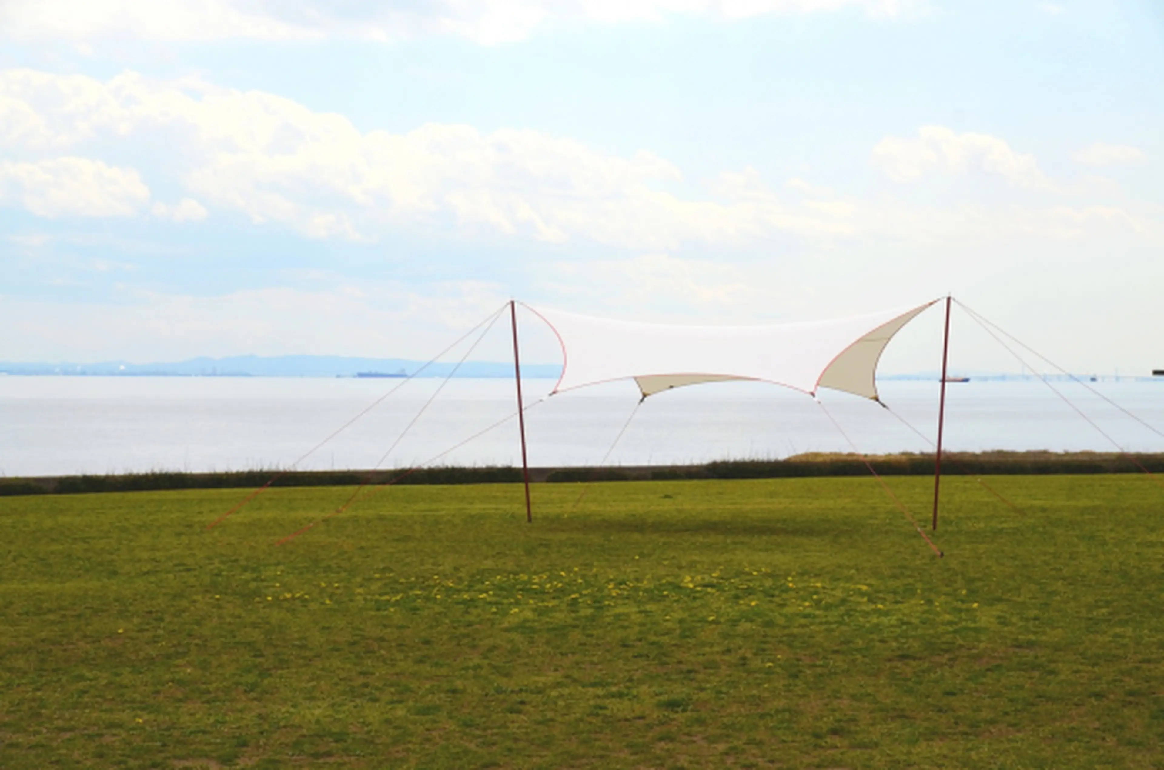 廃盤 希少 sunsetclimax jisugi cup 屋久杉 絶版品 jisugi cup 01、本日販売開始！ | 稲穂工房