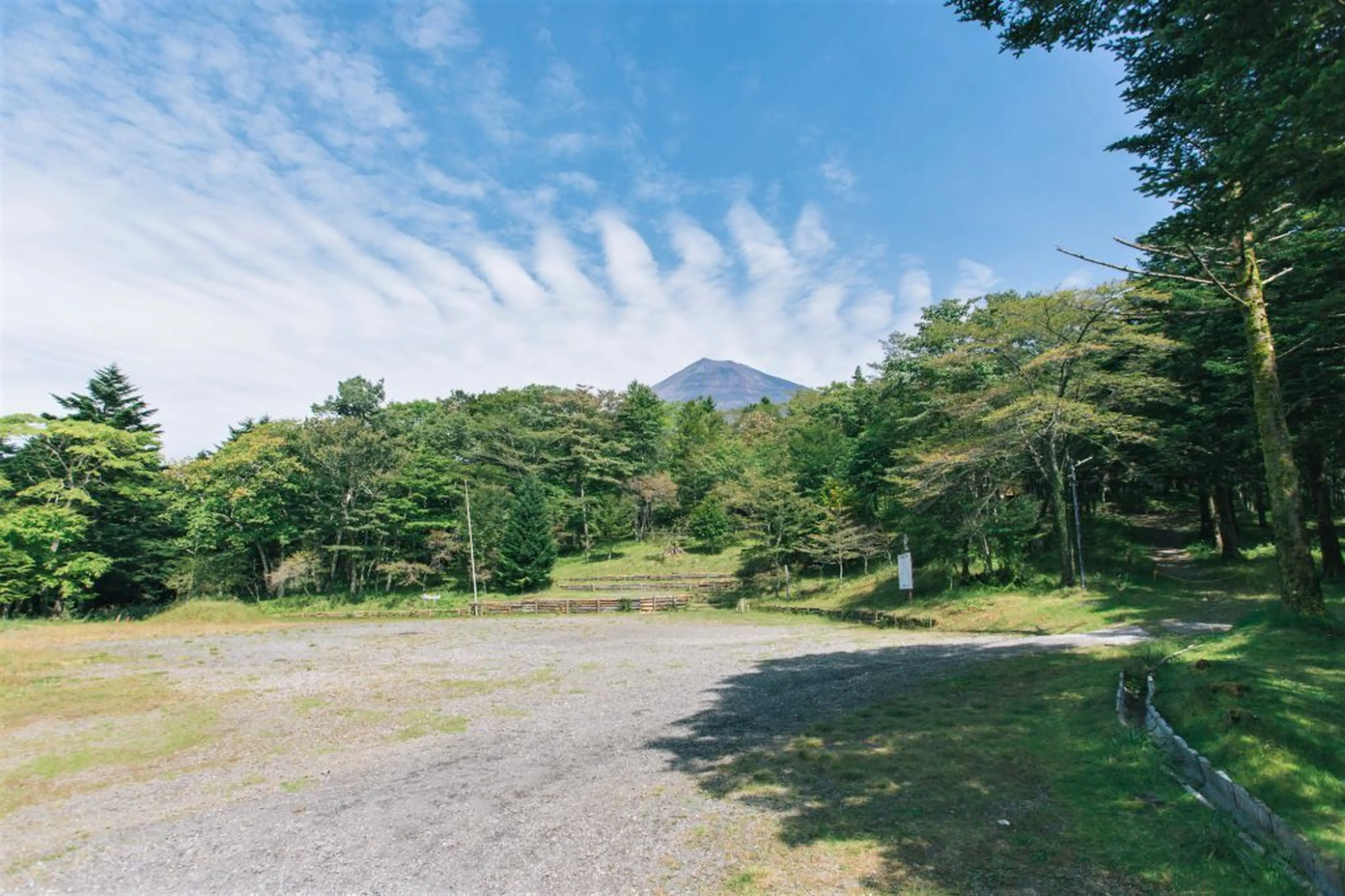 当時のメディア報道・掲載写真