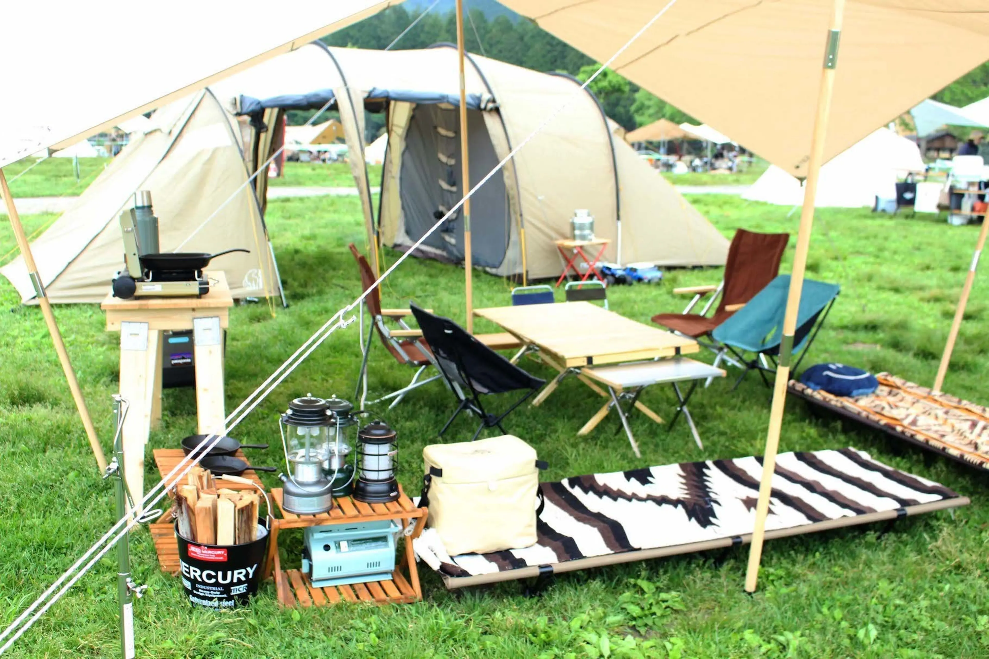 作り込みが半端ない！ノルディスクオーナーズMTG2019のおしゃれサイト6