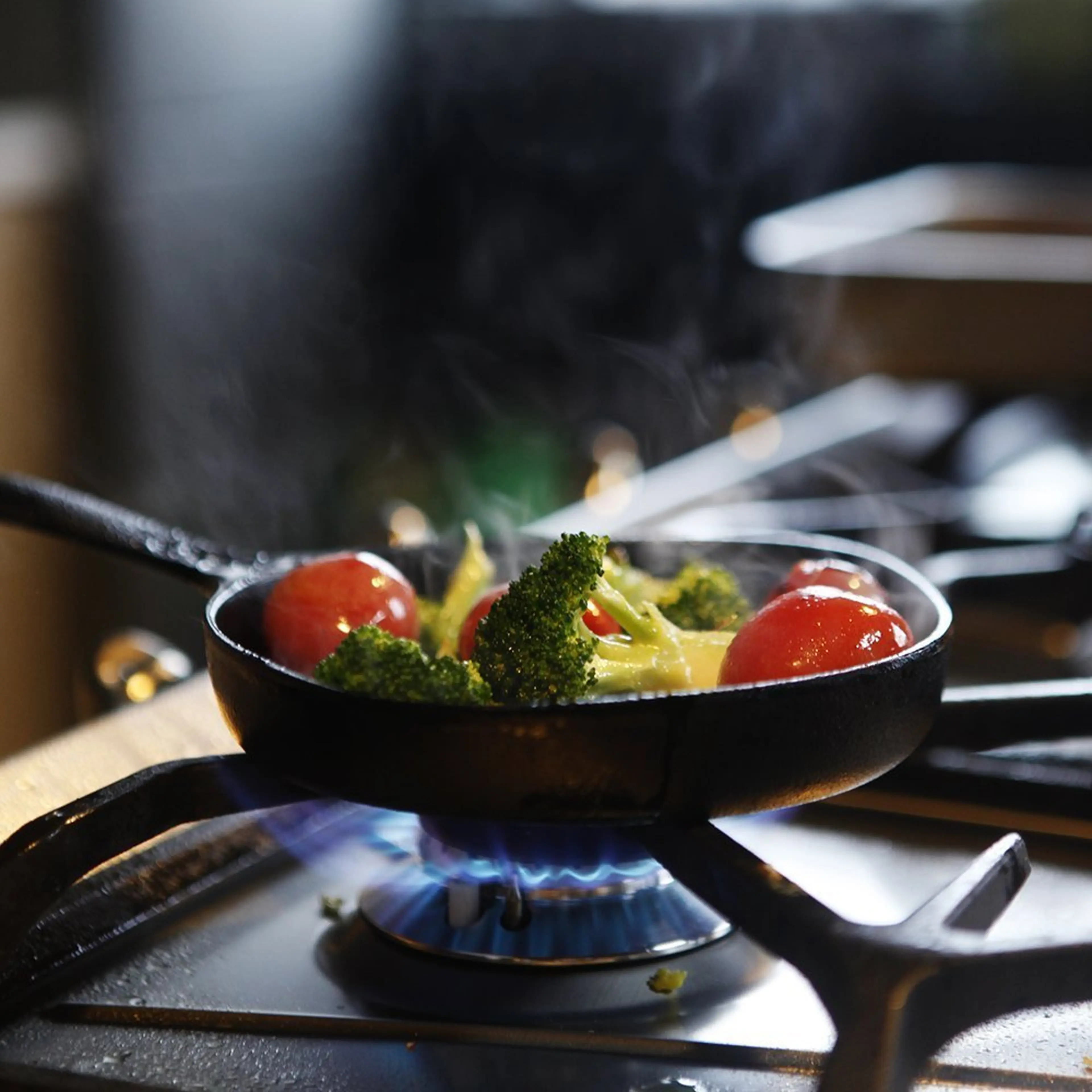 南部鉄器 オーブンパン２5 【あらゆる熱源に対応】 南部鉄器 オーブンパン25 【あらゆる熱源に対応】 南部鉄器のおすすめ