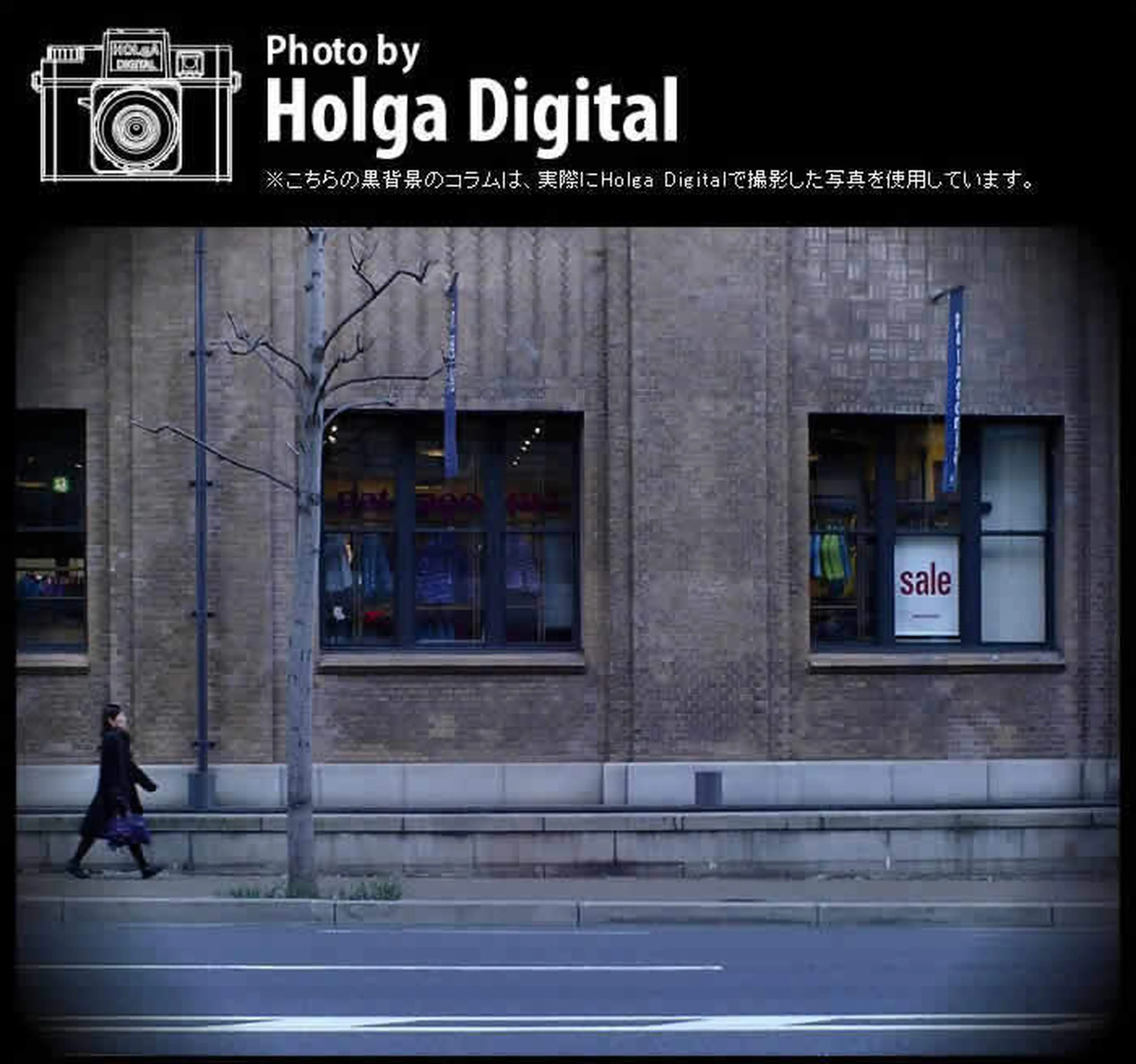 ◆希少◆HOLGA DIGITAL トイカメラ　動作品　作例あり アリかナシか？ トイカメラの王様「ホルガ」のデジタル版