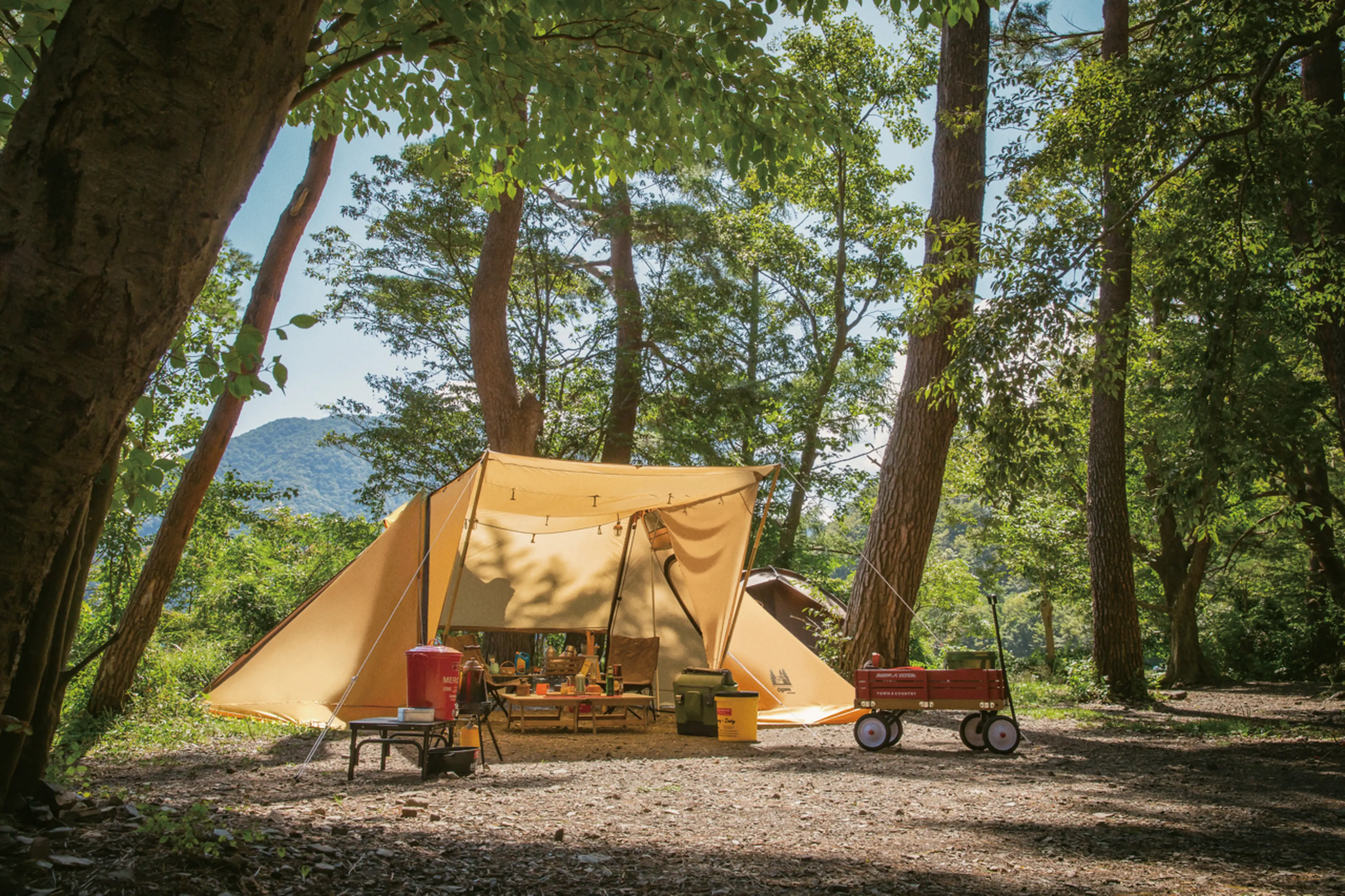 ogawaの2020年新作が登場！名作オーナーロッジシリーズやティエラ5-EX