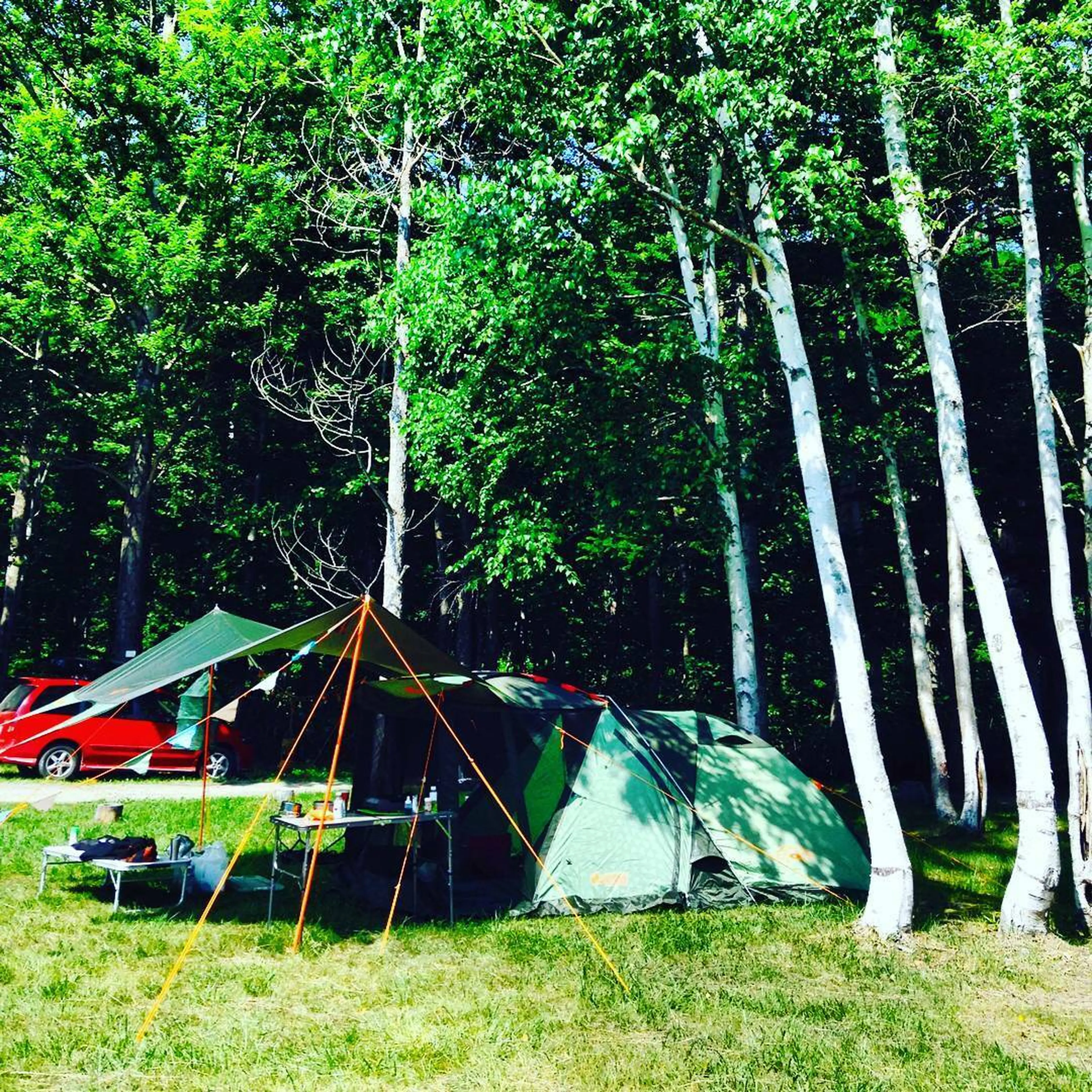 LOGOSロゴス/Black UV ヘキサタープ 5750-AIテント キャンプ LOGOSロゴス/Black UV ヘキサタープ 5750-AIテント キャンプ テント