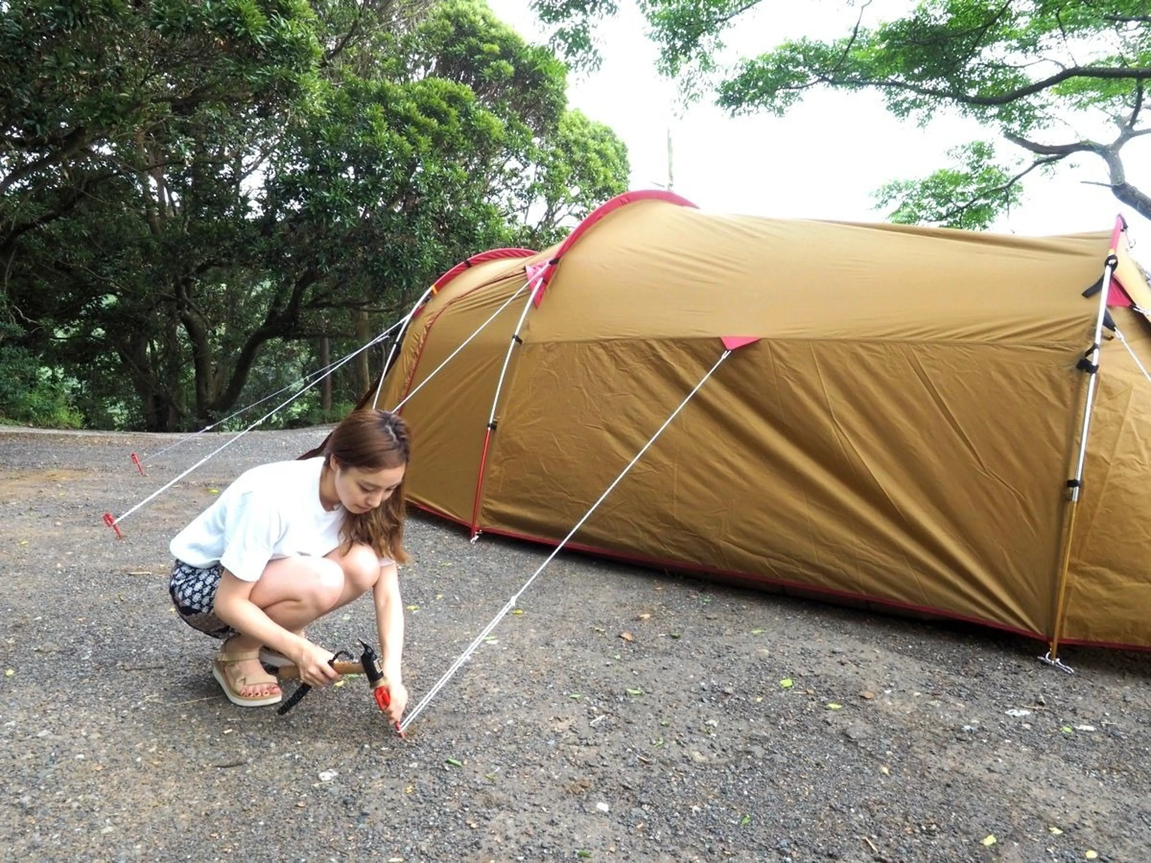 peak トンネル型テントヴォールド スノーピーク新作ヴォールトって