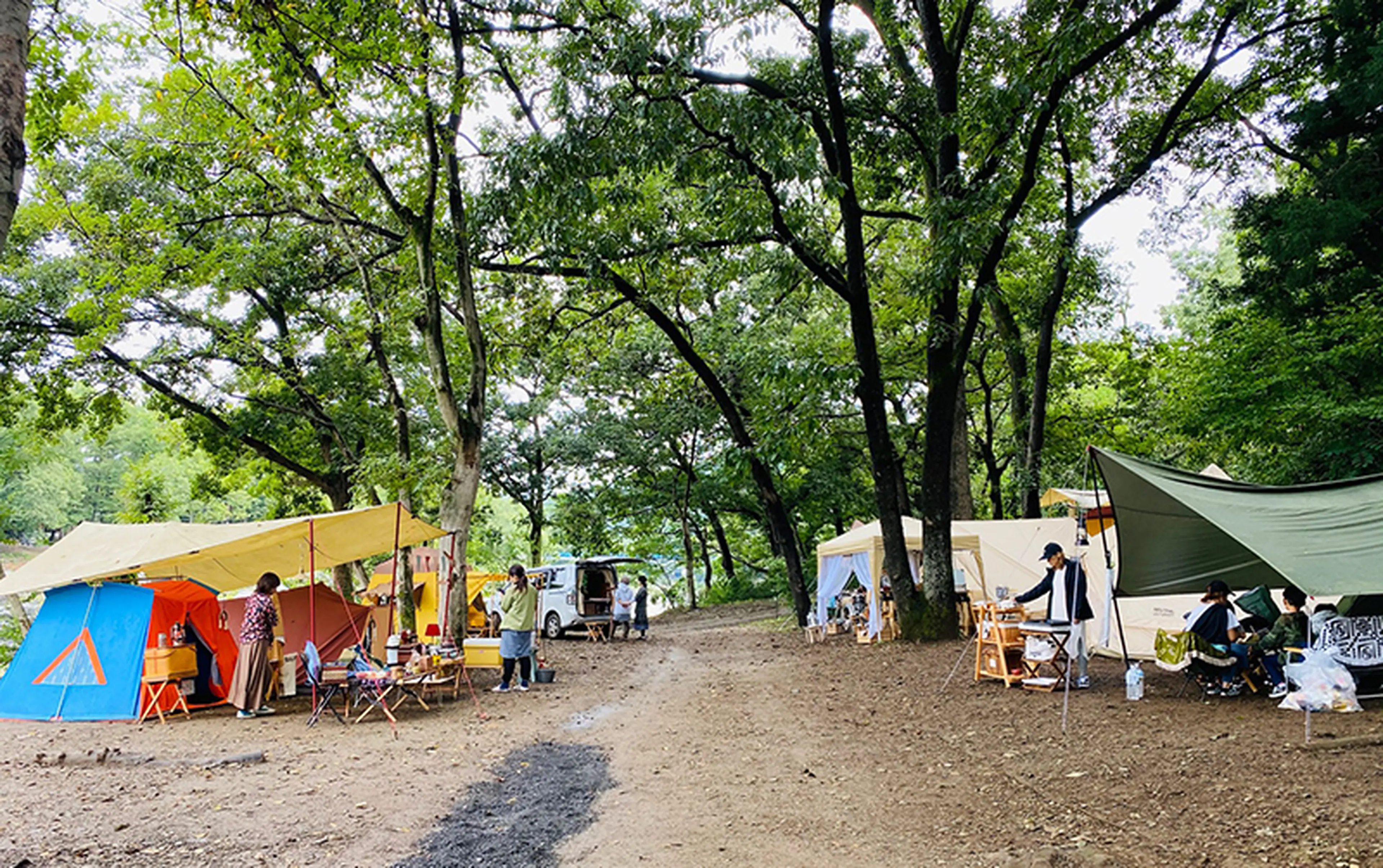 体験レポート】復興から自粛、そして再開へ。何度でも行きたい長瀞