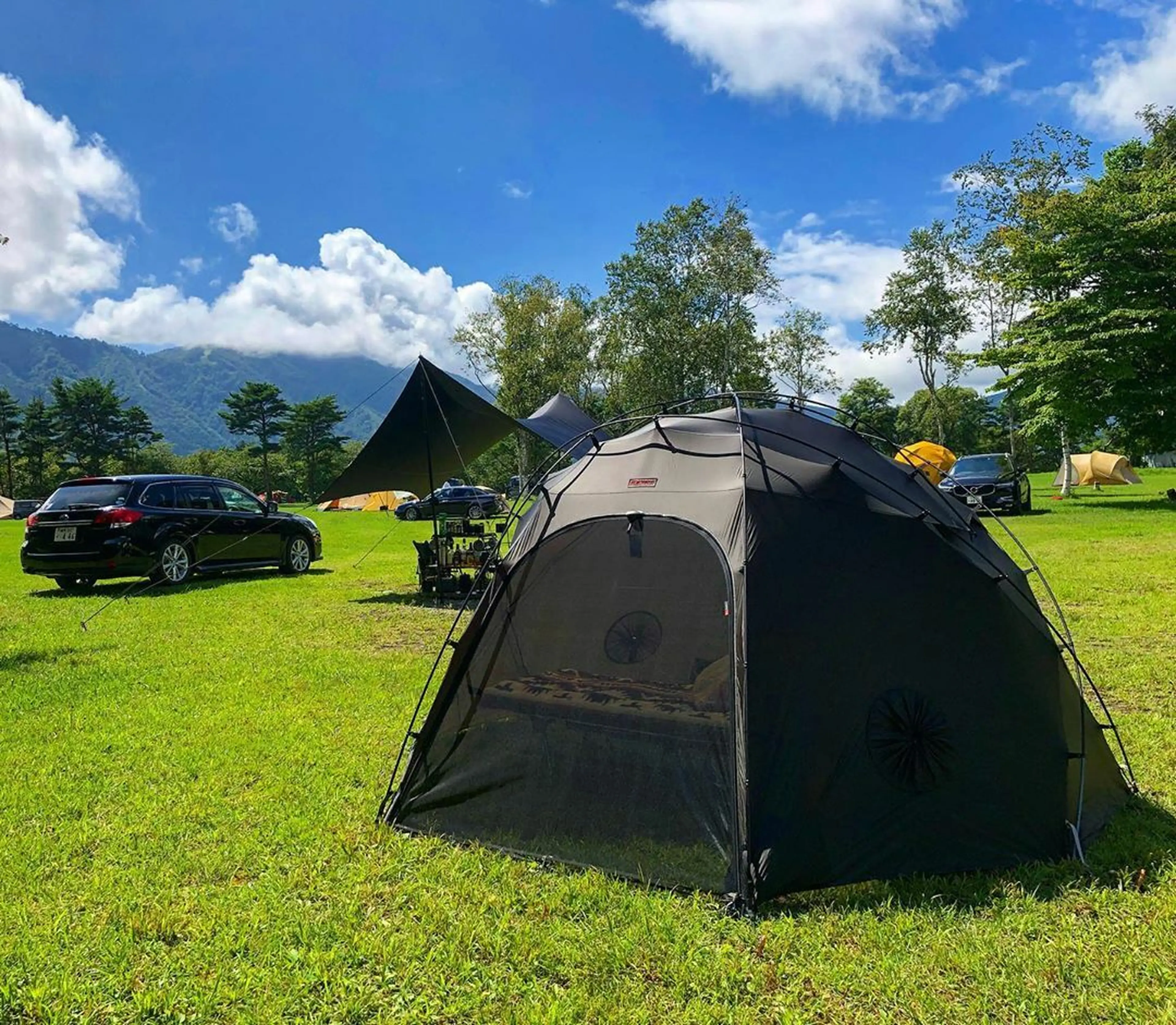 BACKCOUNTRY オリソン キャンプヒルズ別注 【公式通販】