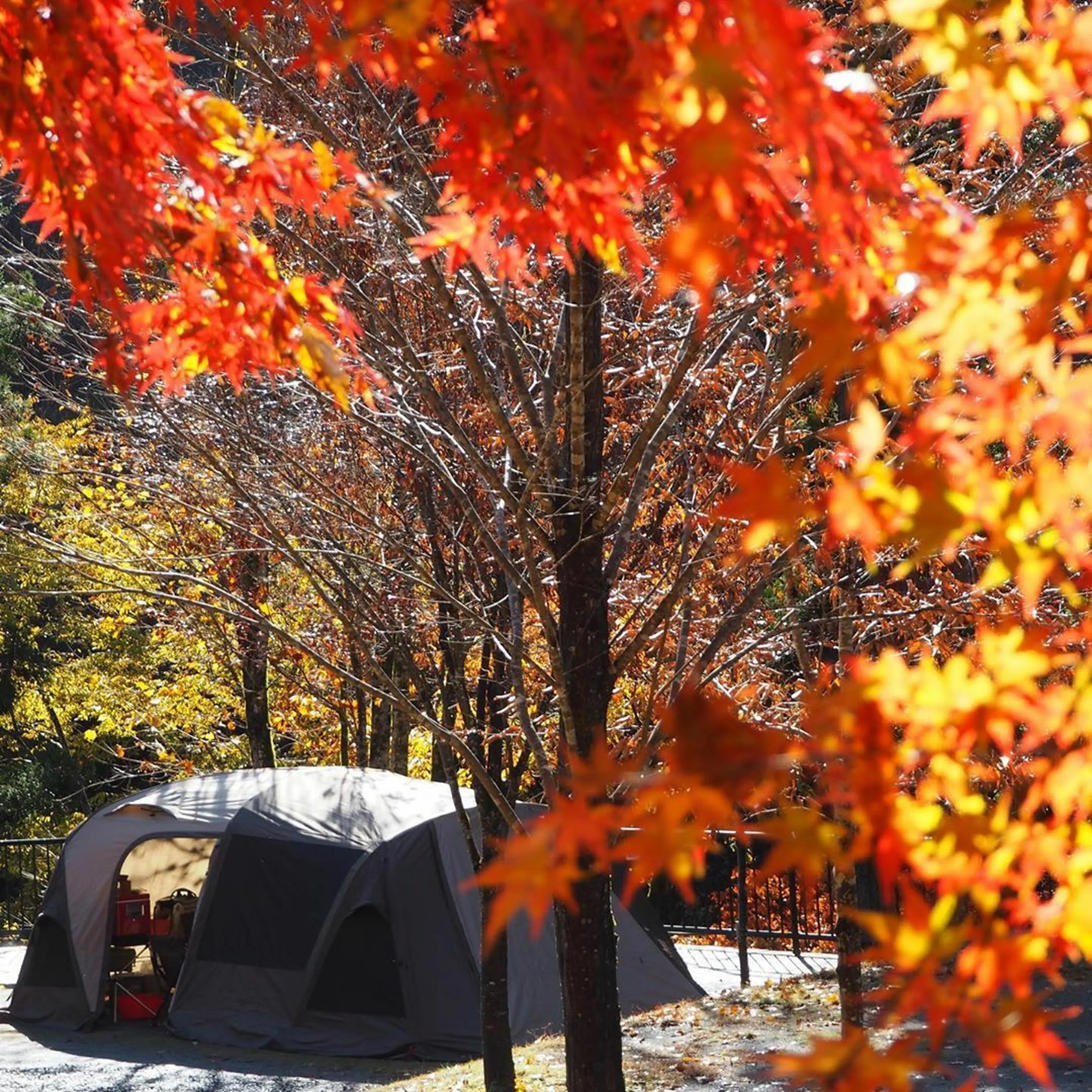 キャンプストーブ　秋　紅葉バージョン　手作り日本製 キャンプストーブ秋紅葉バージョン手作り日本製