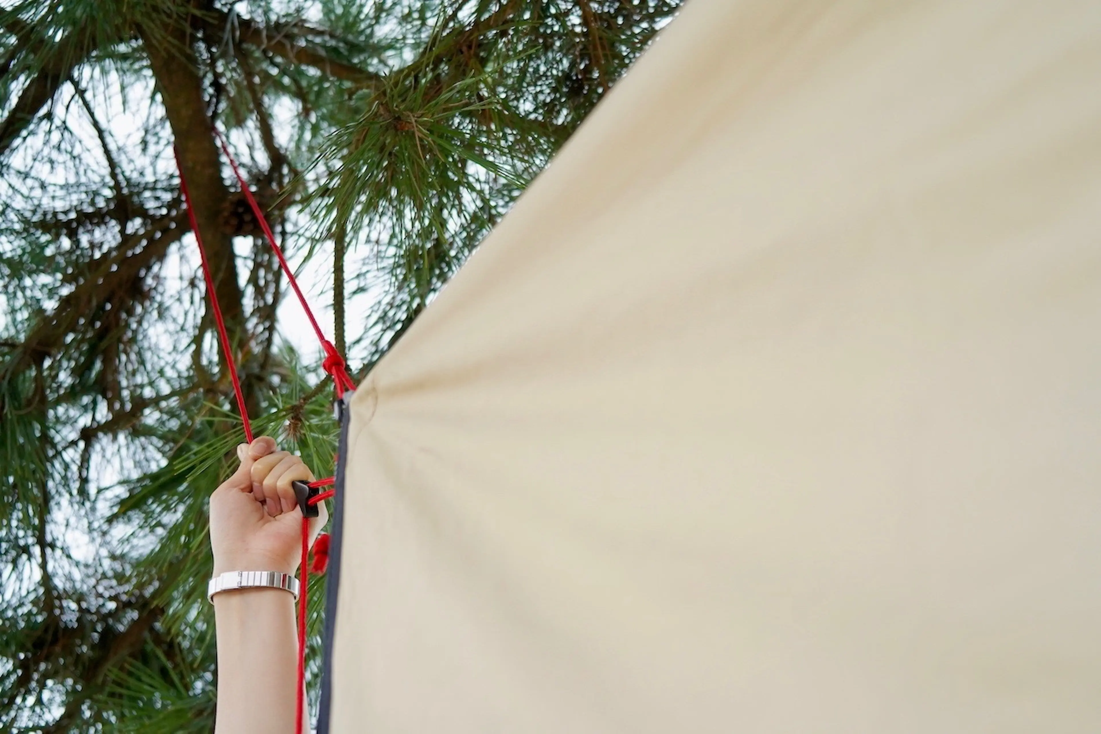 キャンプ場だからこその大迫力！アウトドア派ゲーマーが絶賛した新しい