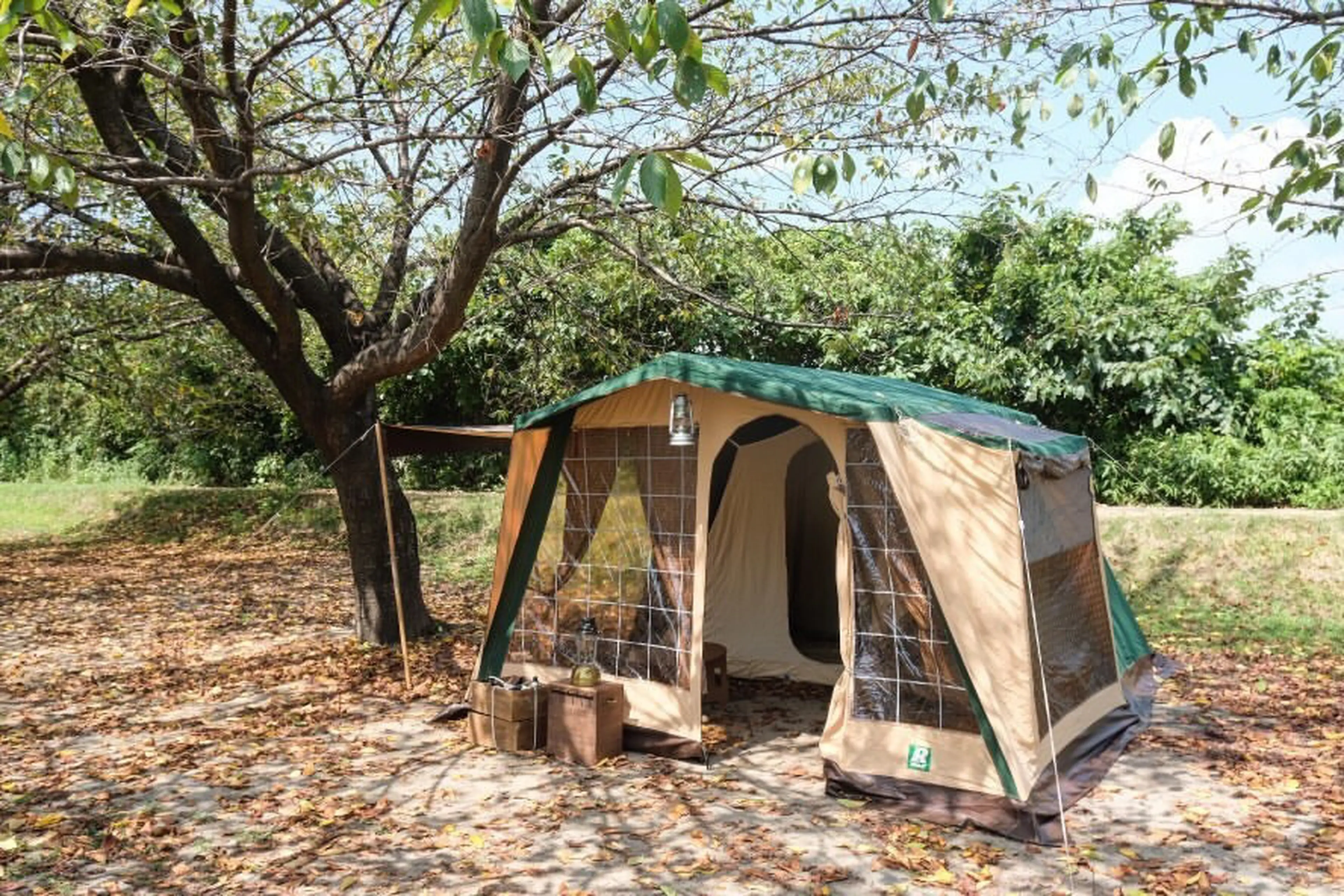 希少廃盤品　Tomichi Lodge RS Tent 4人用トンネルテント 希少廃盤品 Tomichi Lodge RS Tent 4人用トンネルテント