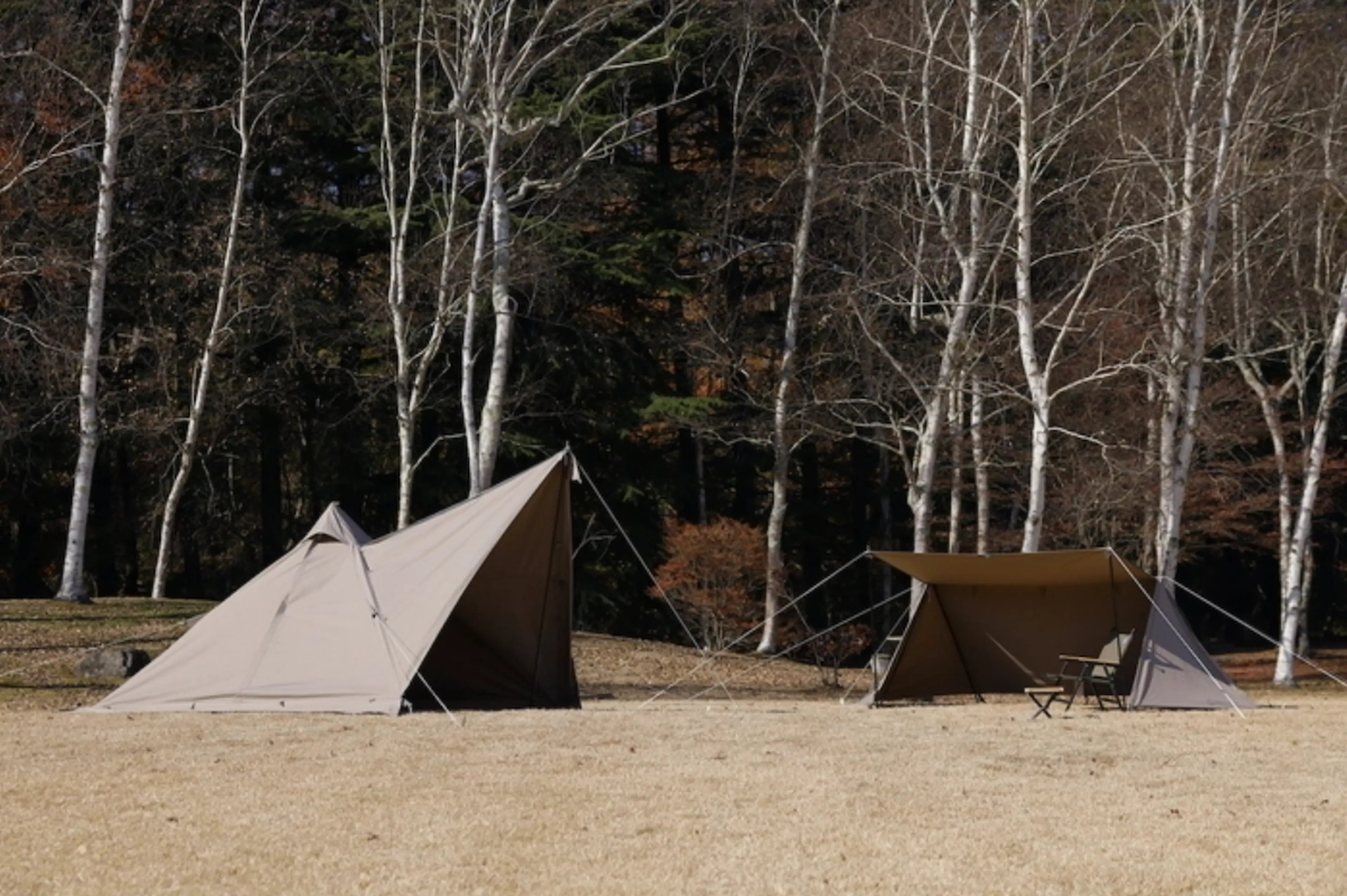 ホールアース TC二股ポールテント