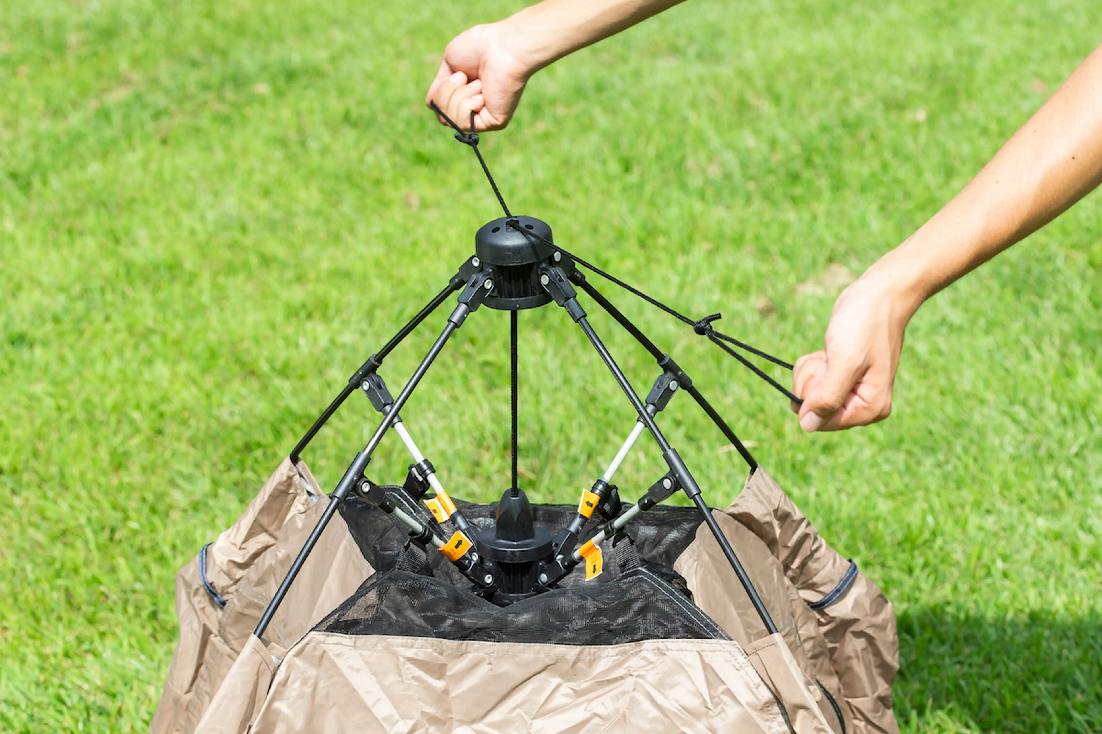 愛犬だってグランピングしたい！本格派「ペット用テント」がデビュー