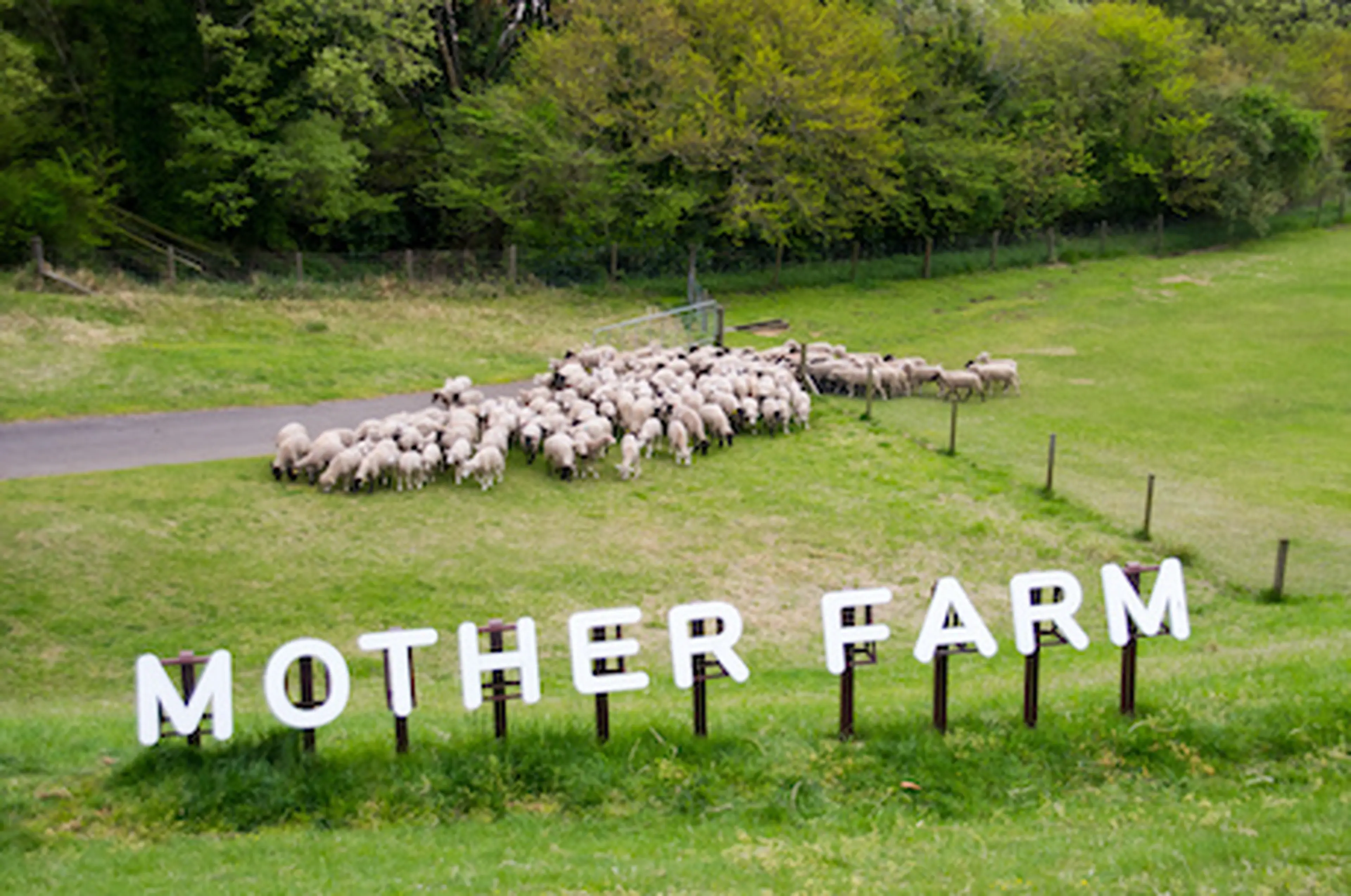 都心からのアクセス抜群！森のまきばオートキャンプ場で自然を満喫