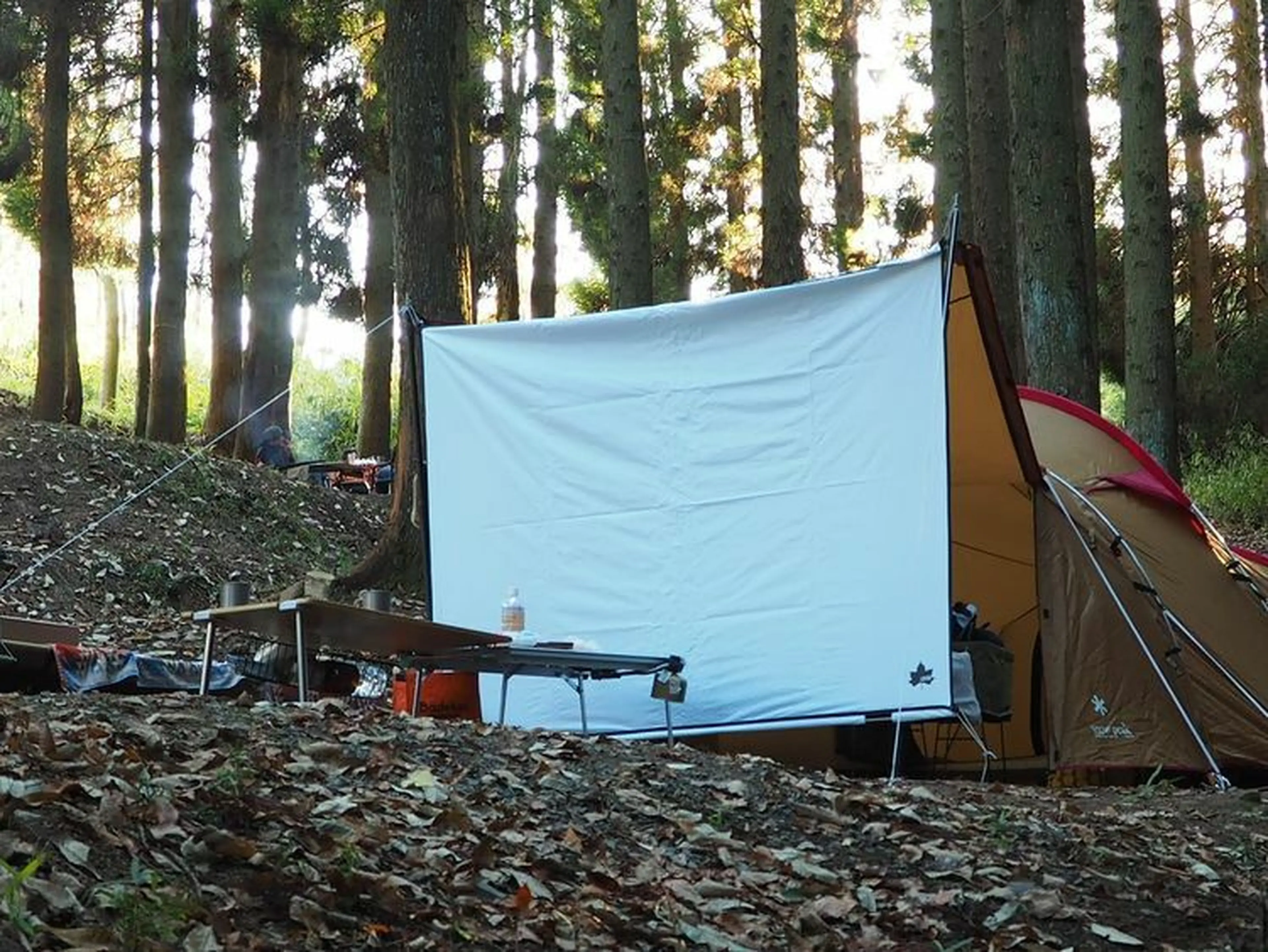 大自然の中で映画体験！秋冬キャンプを盛り上げるプロジェクター