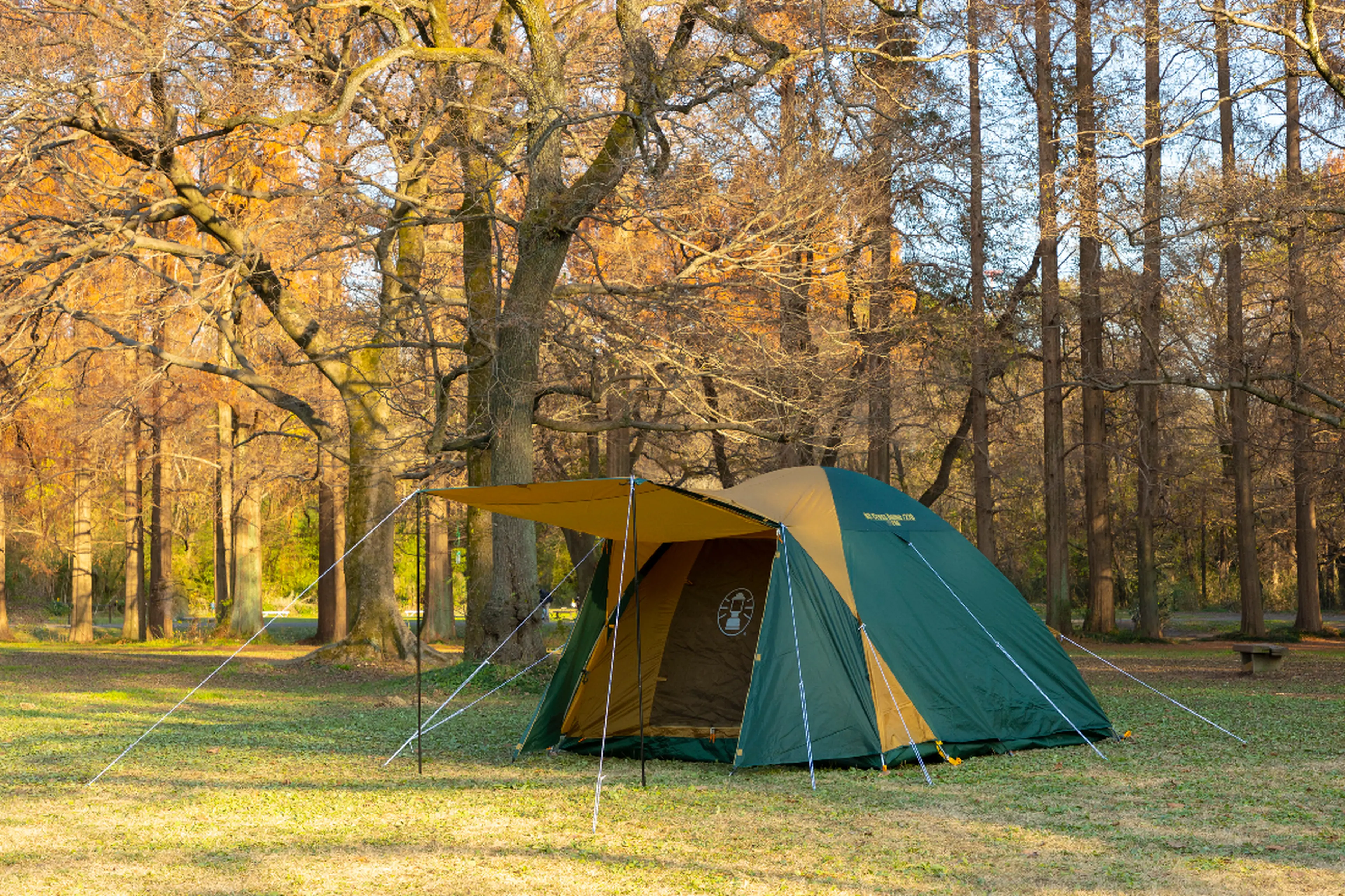 2022年、アウトドアショップで人気のあったキャンプ用品ランキングを