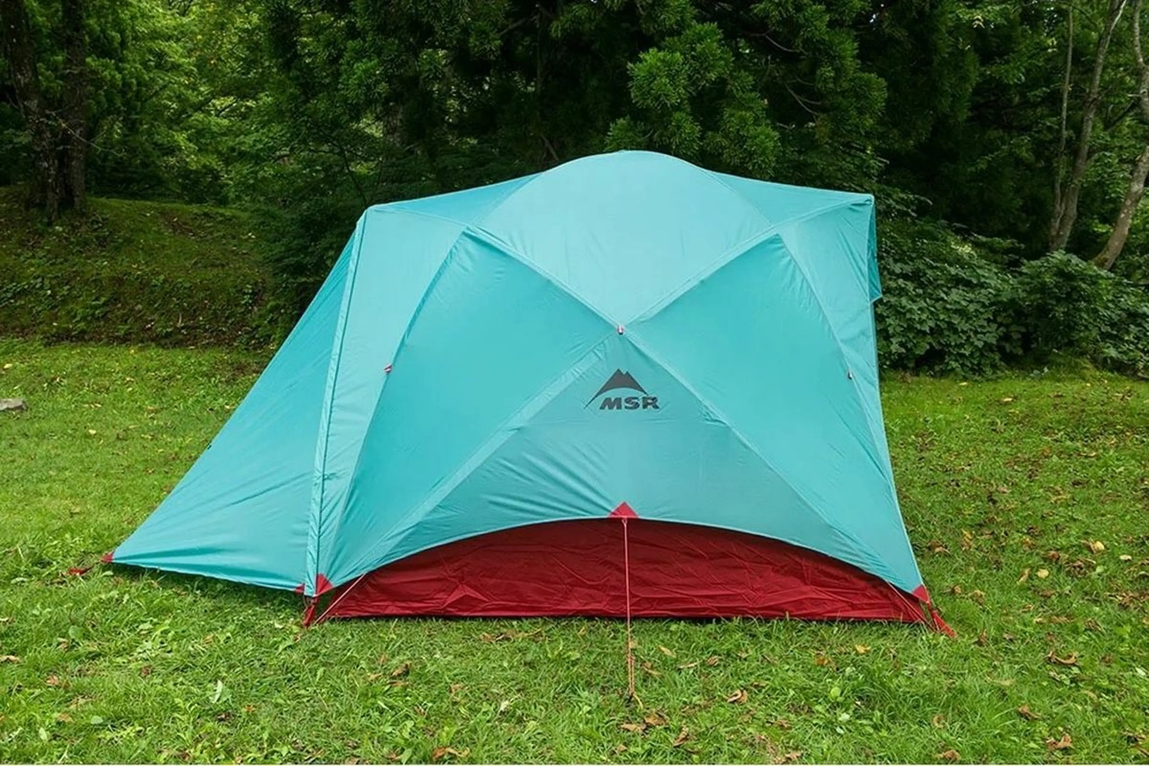 即日発送MSR CARBON REFLEX 2・エムエスアールフットプリント