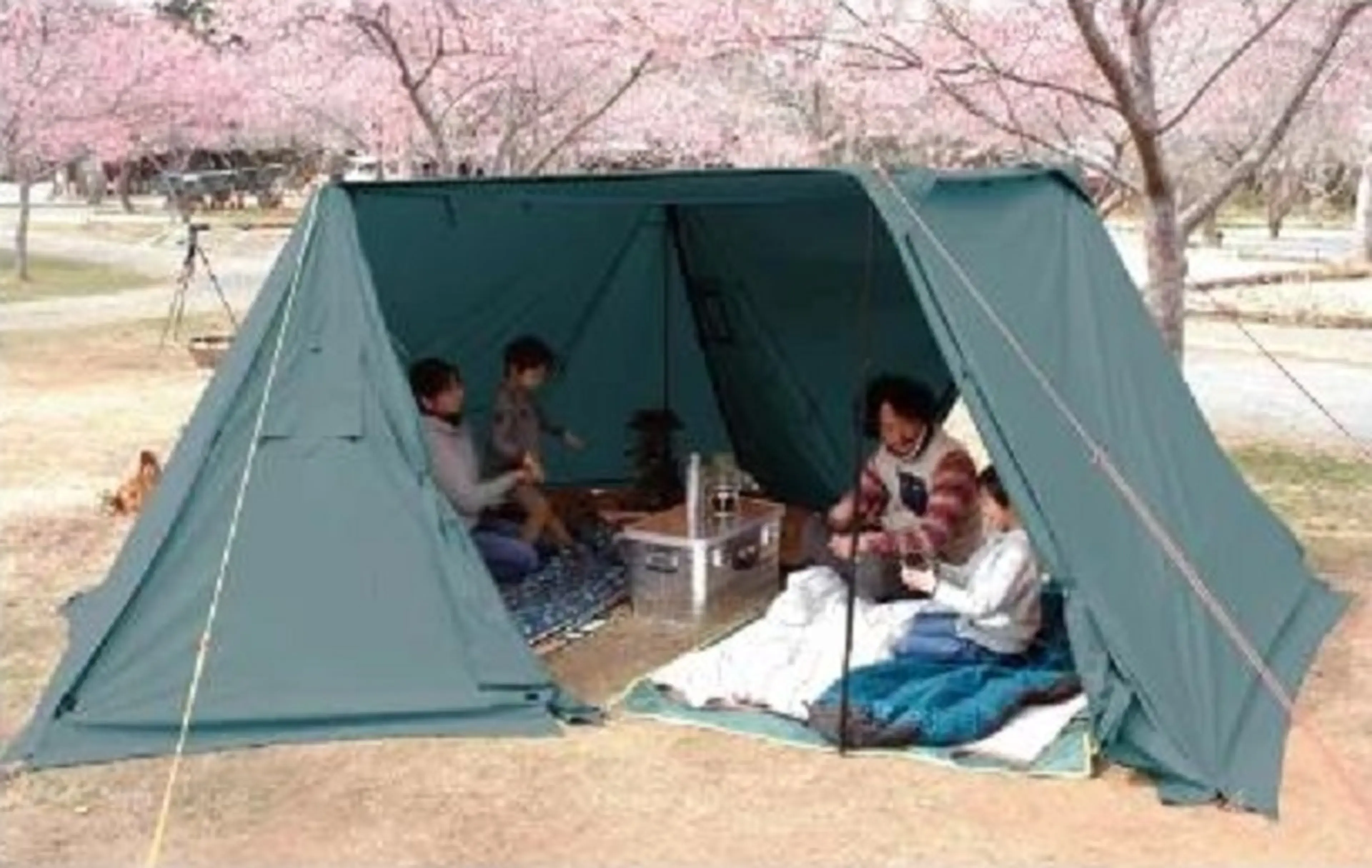 TOMOUNT パップテント TC軍幕 ソロテント 2人用 ポリコットンテント