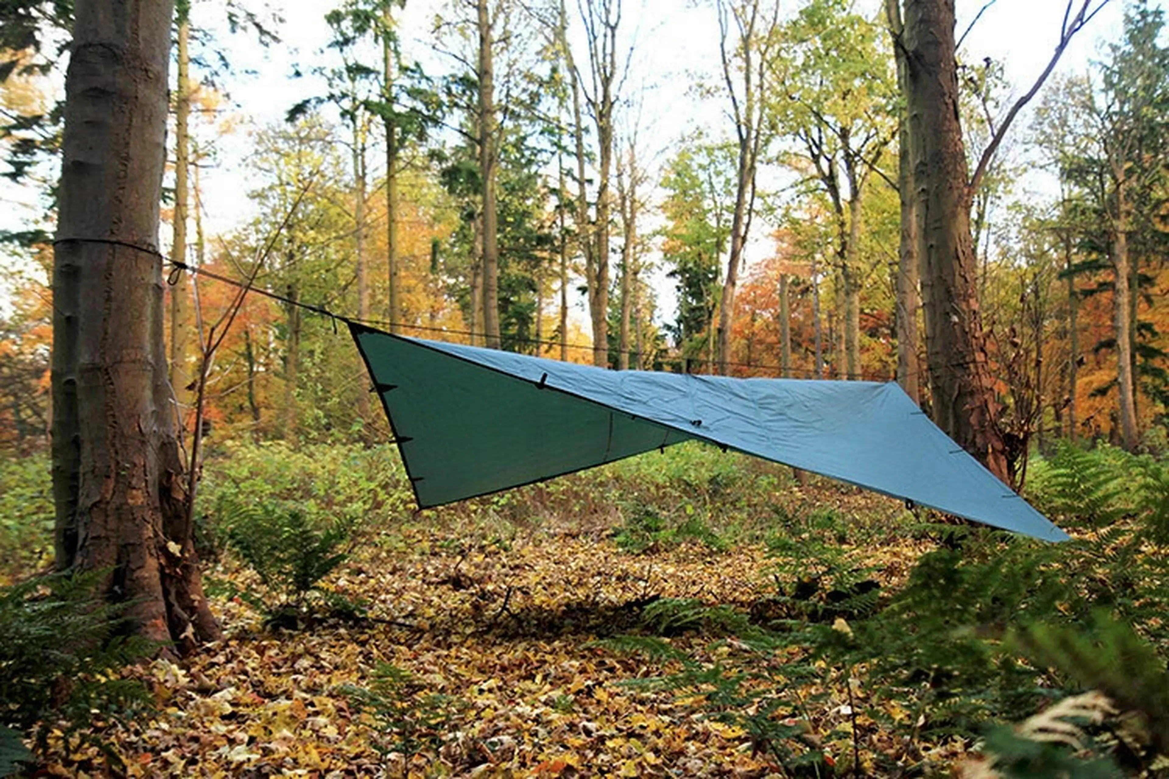 DD タープ 3.5 x 3.5 DD Hammocks フォレストグリーン Amazon.com: DD Hammocks Tarp 3.5 x 3.5 - Olive Green (11.5ft