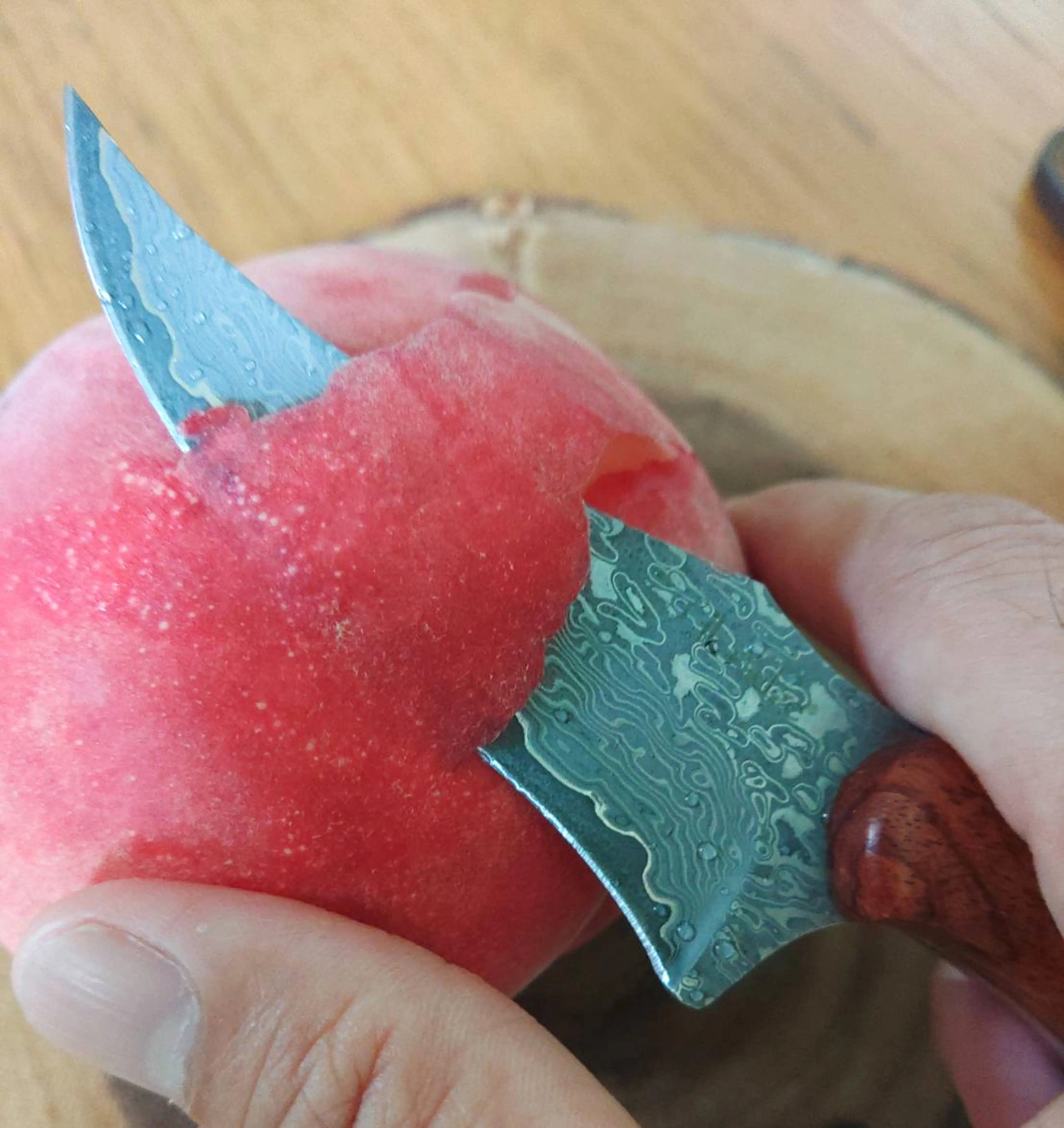 狩猟ブランド「Elk Ridge」から、超本格派のナイフ＆ノコギリが日本初