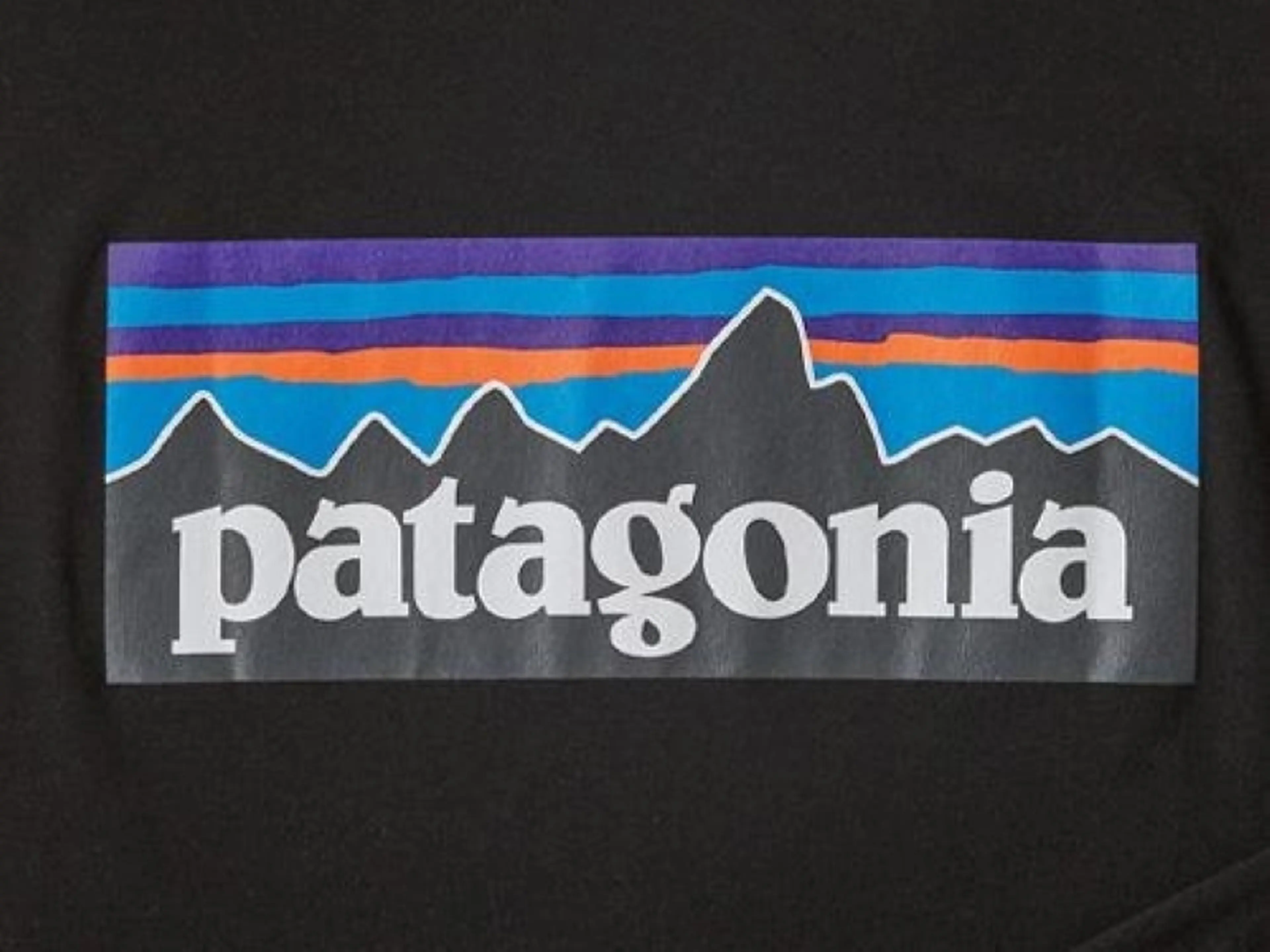 パタゴニアのゴアテックス＆H2Noアウター2選！悪天候の強い味方