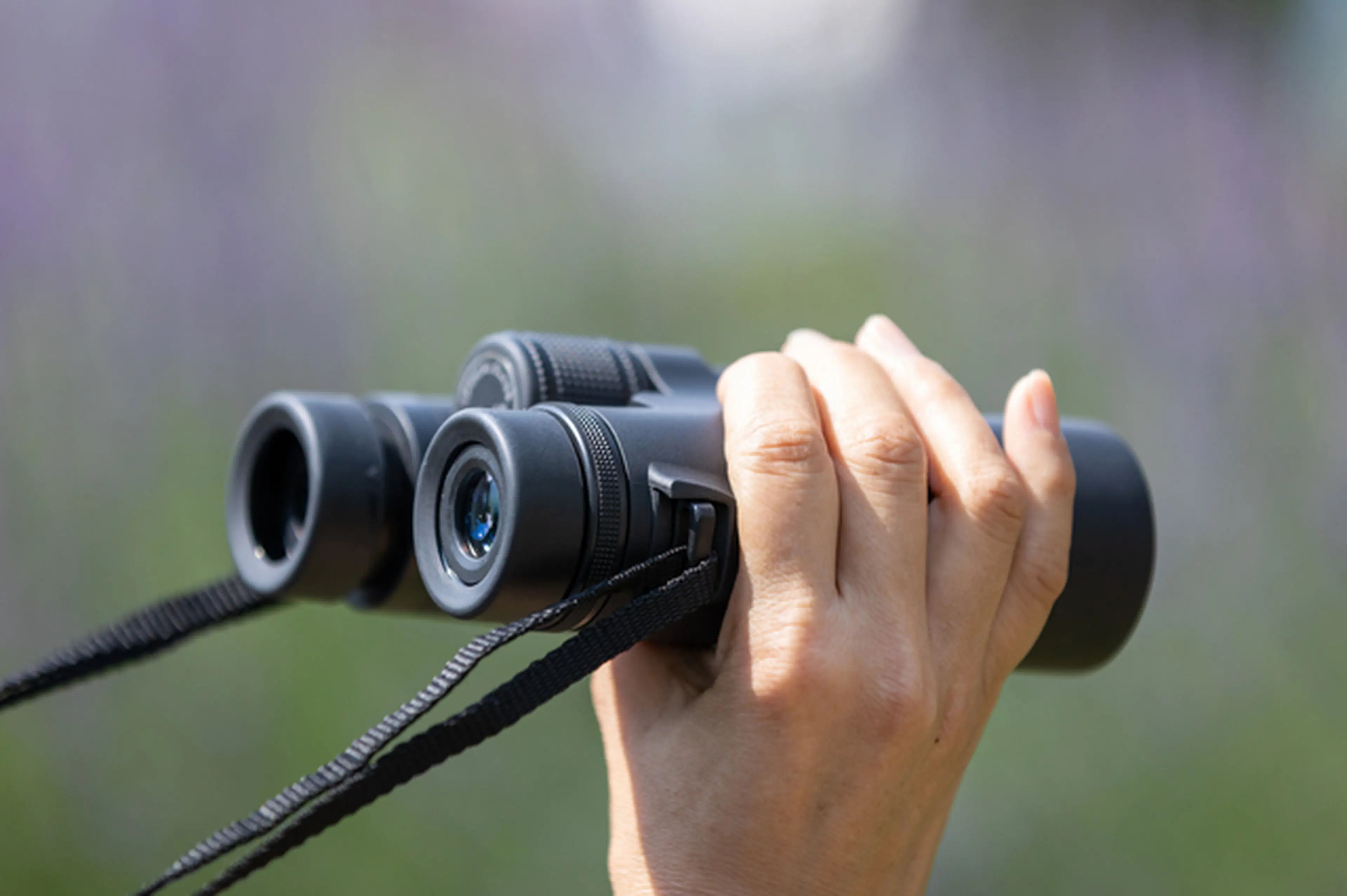 耐久性のある強力な双眼鏡、コンパクトな望遠鏡バードウォッチング