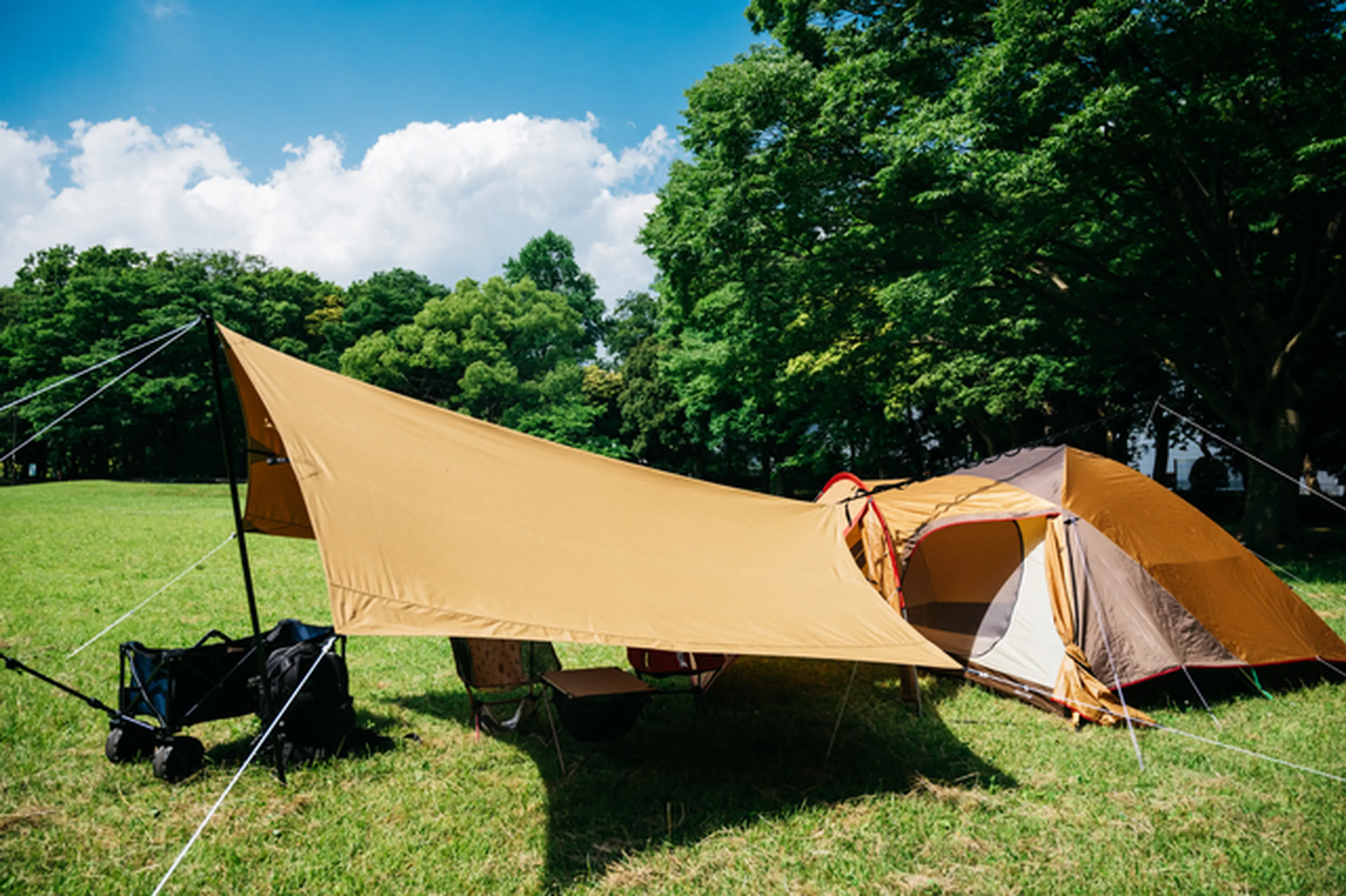 ムースルームワークス KAKUREGA ベージュ タープ・テント 【MOOSE ROOM