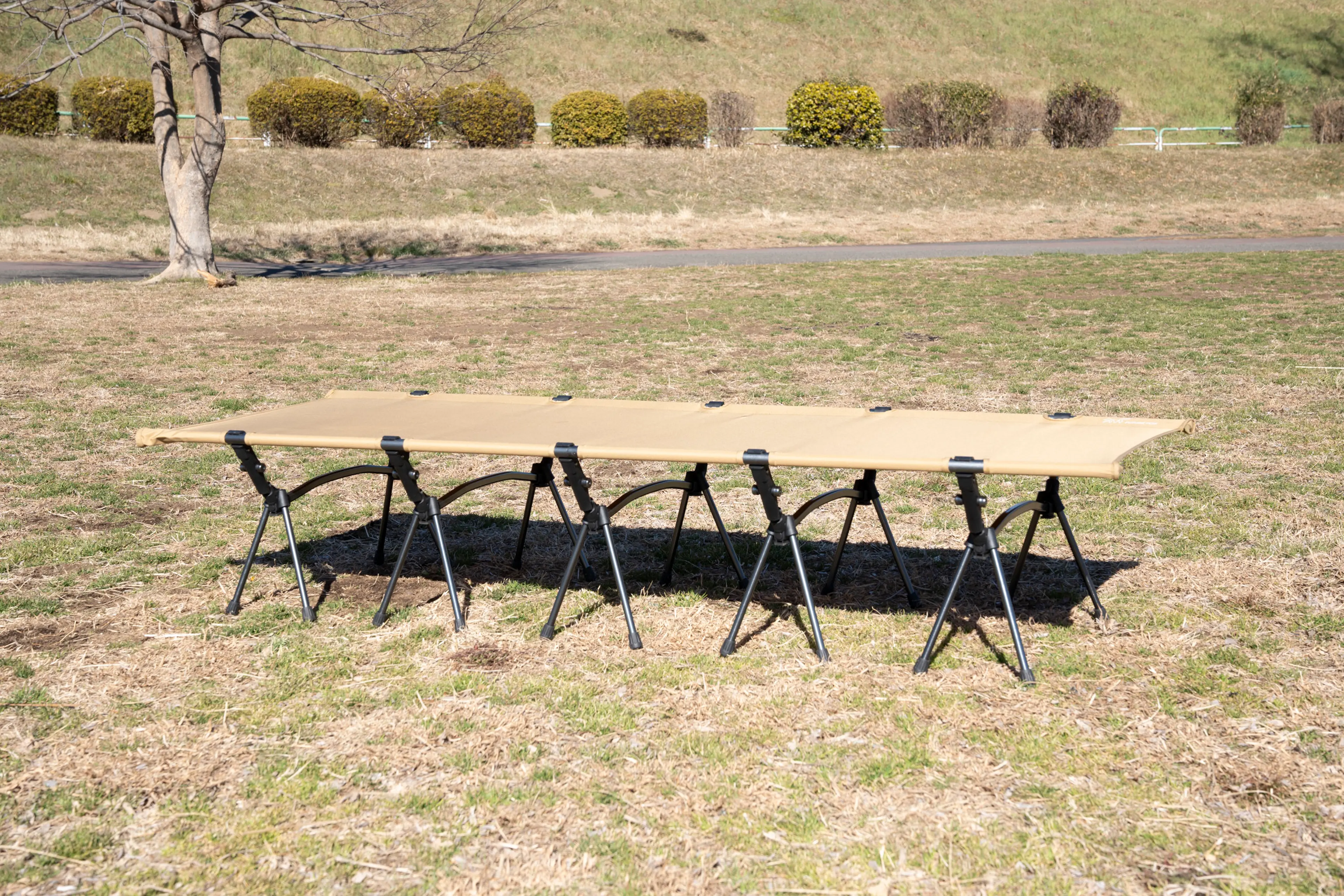 2個セット】FUTURE FOX ワイドコット 2WAY 2024年】2WAYコットおすすめ