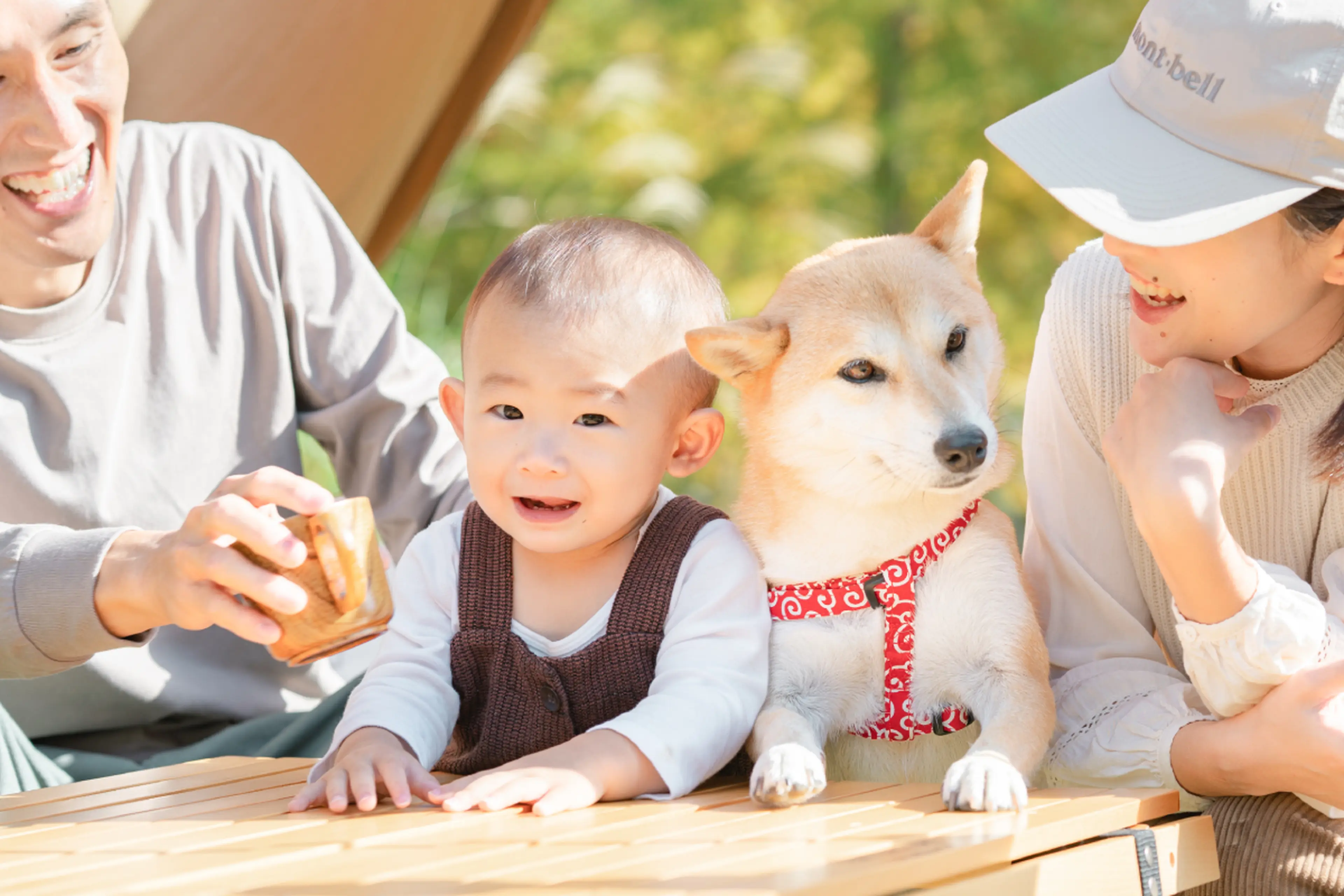 キャンプ CAMP TIME アウトドア 焚火 おもしろ 犬 柴犬好き 柴犬 名言 文字 面白い ふざけた ネタ ジップパーカー 柴犬とキャンプ 】賢くて頼れる\, image size:3840x2560
